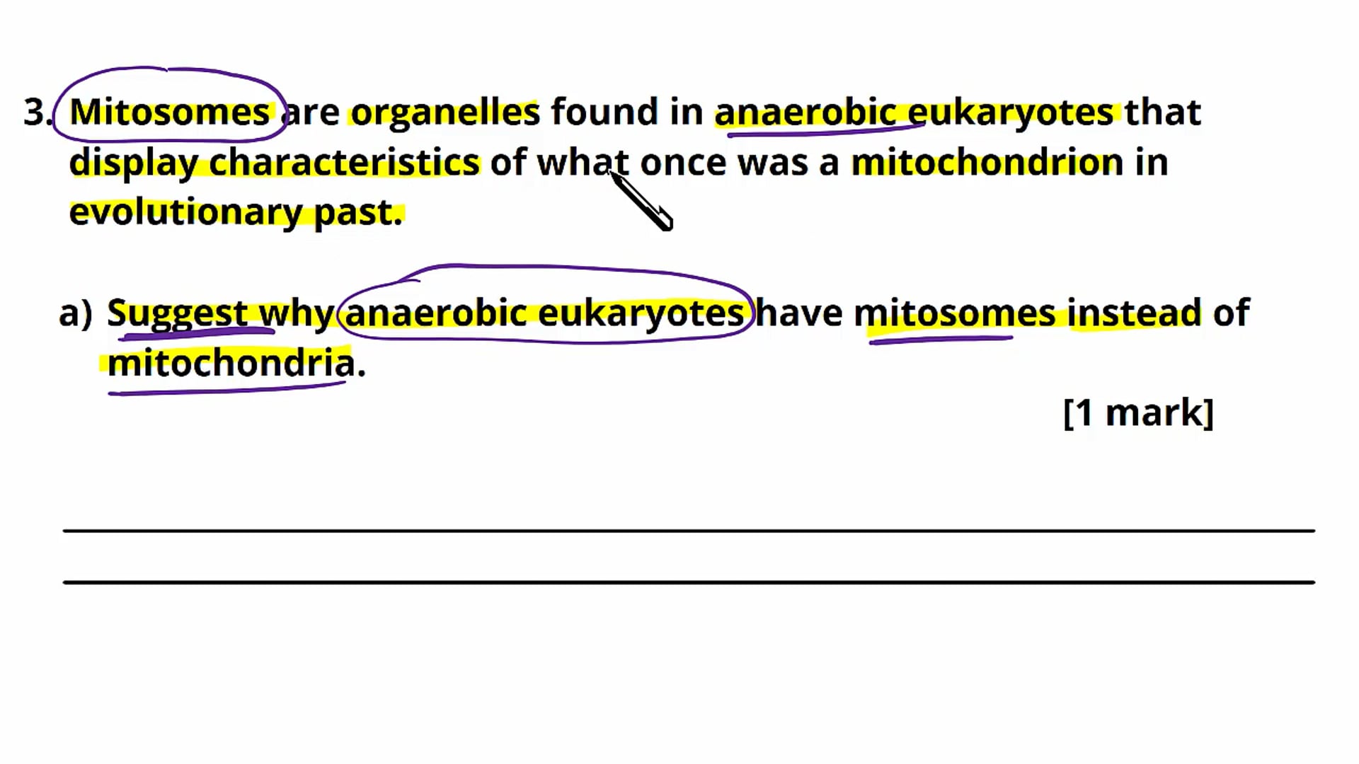 Glycolysis Exam Question