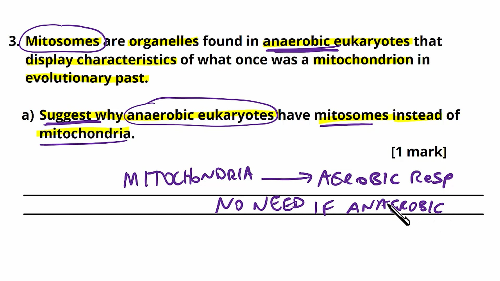 Glycolysis Exam Question