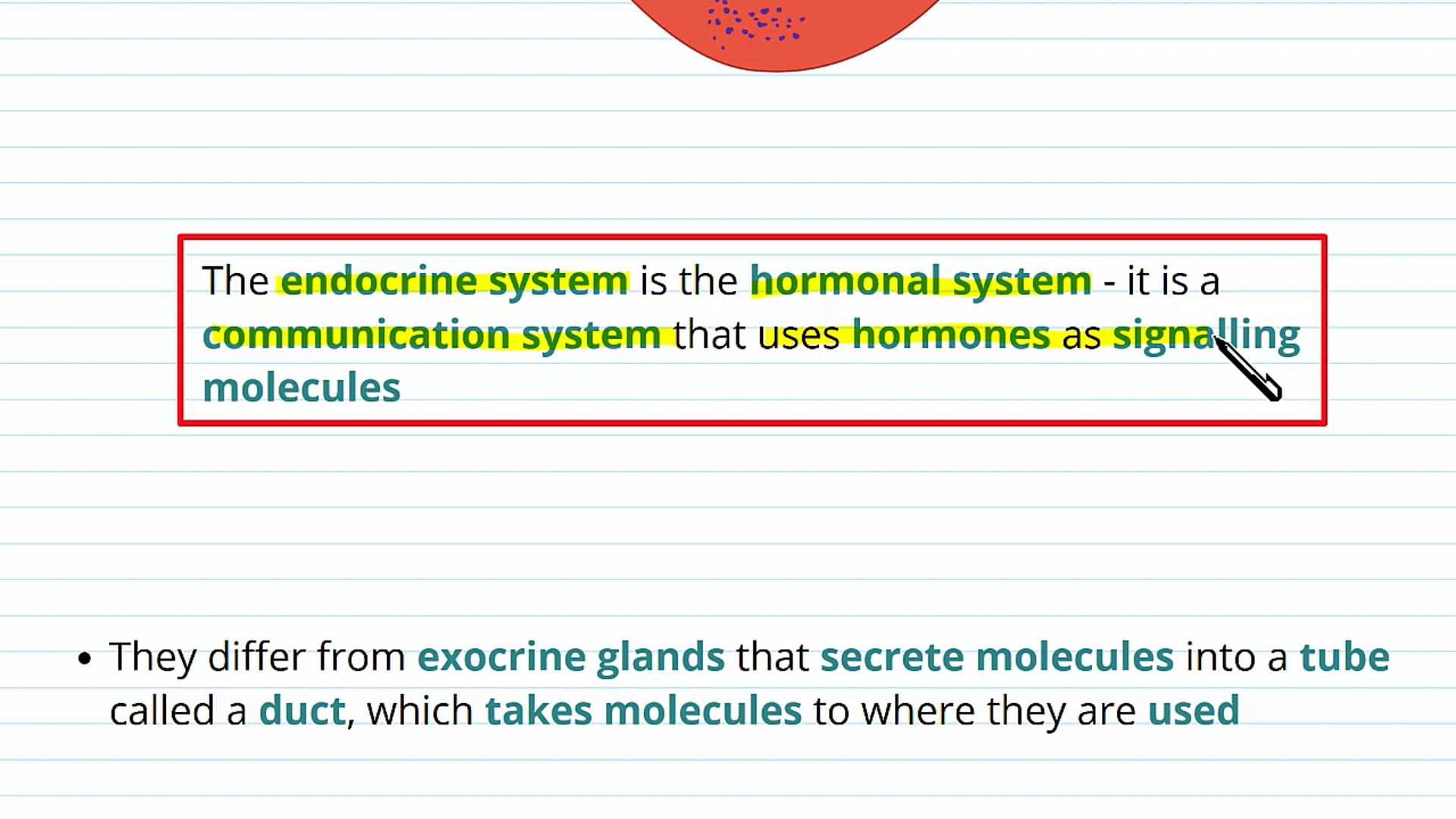 Hormones