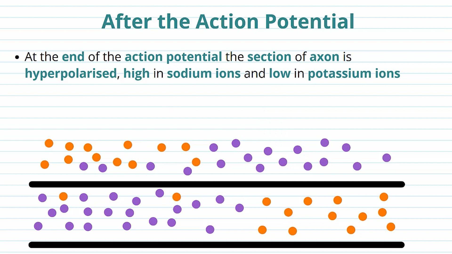 Hyperpolarisation and Transmission of the Action Potential
