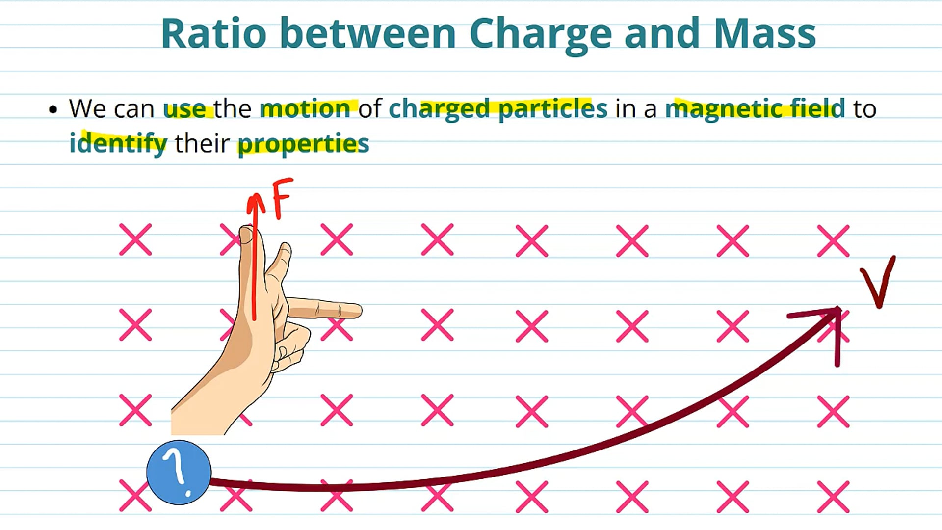 Identifying Particles using Magnetic Fields