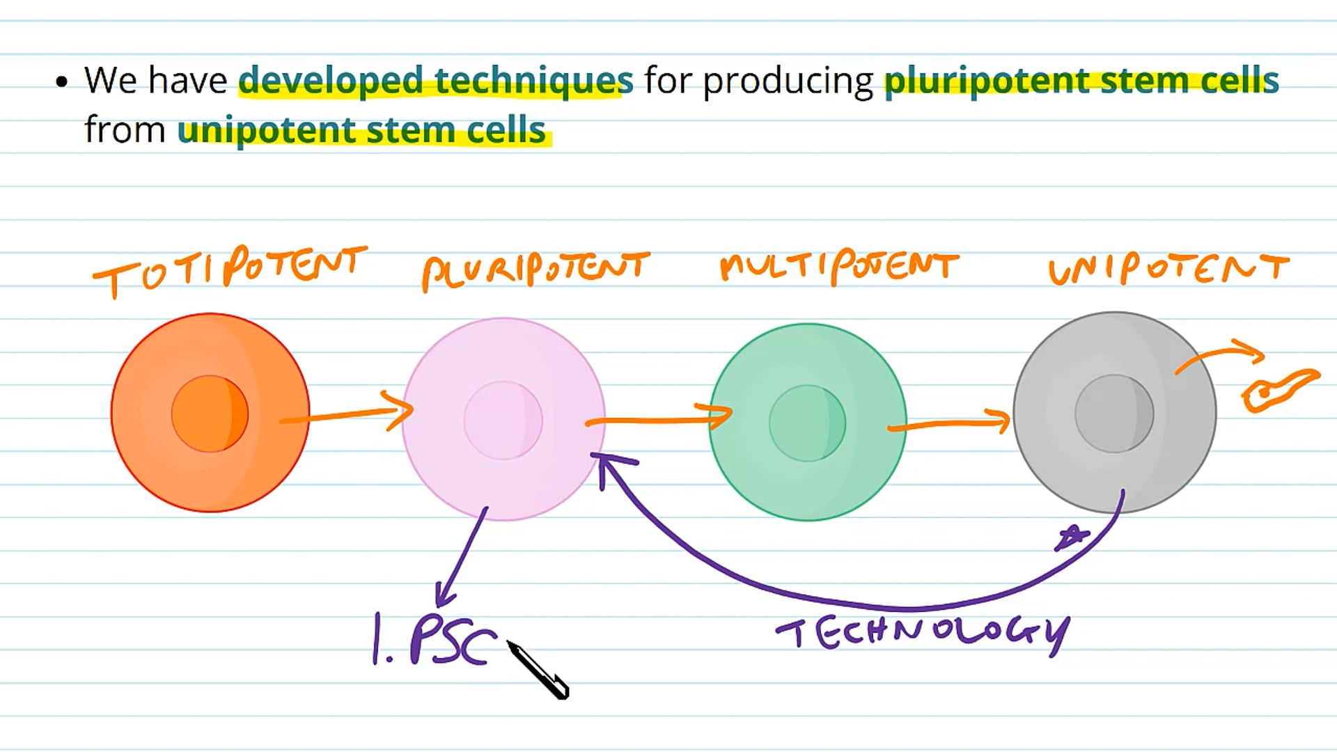 Induced Pluripotent Stem Cells
