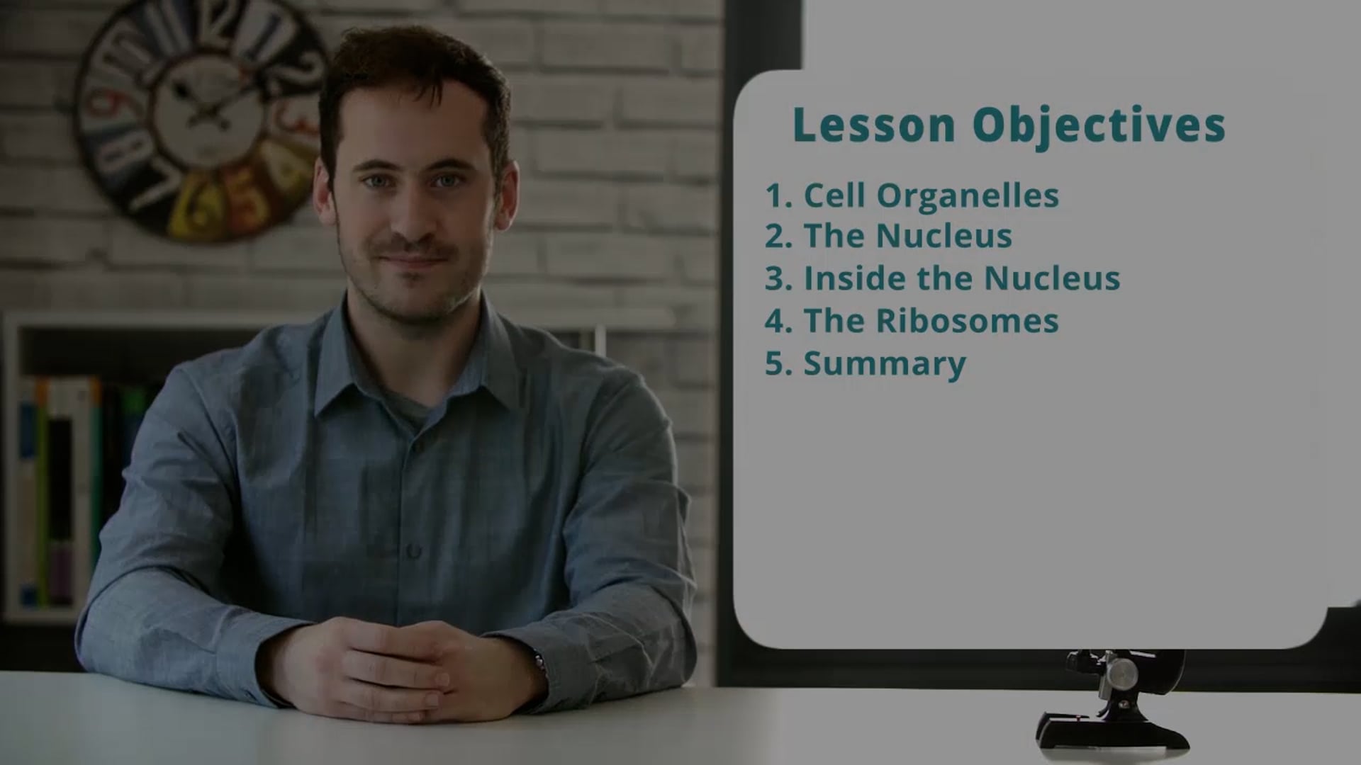 Introducing Organelles and the Nucleus