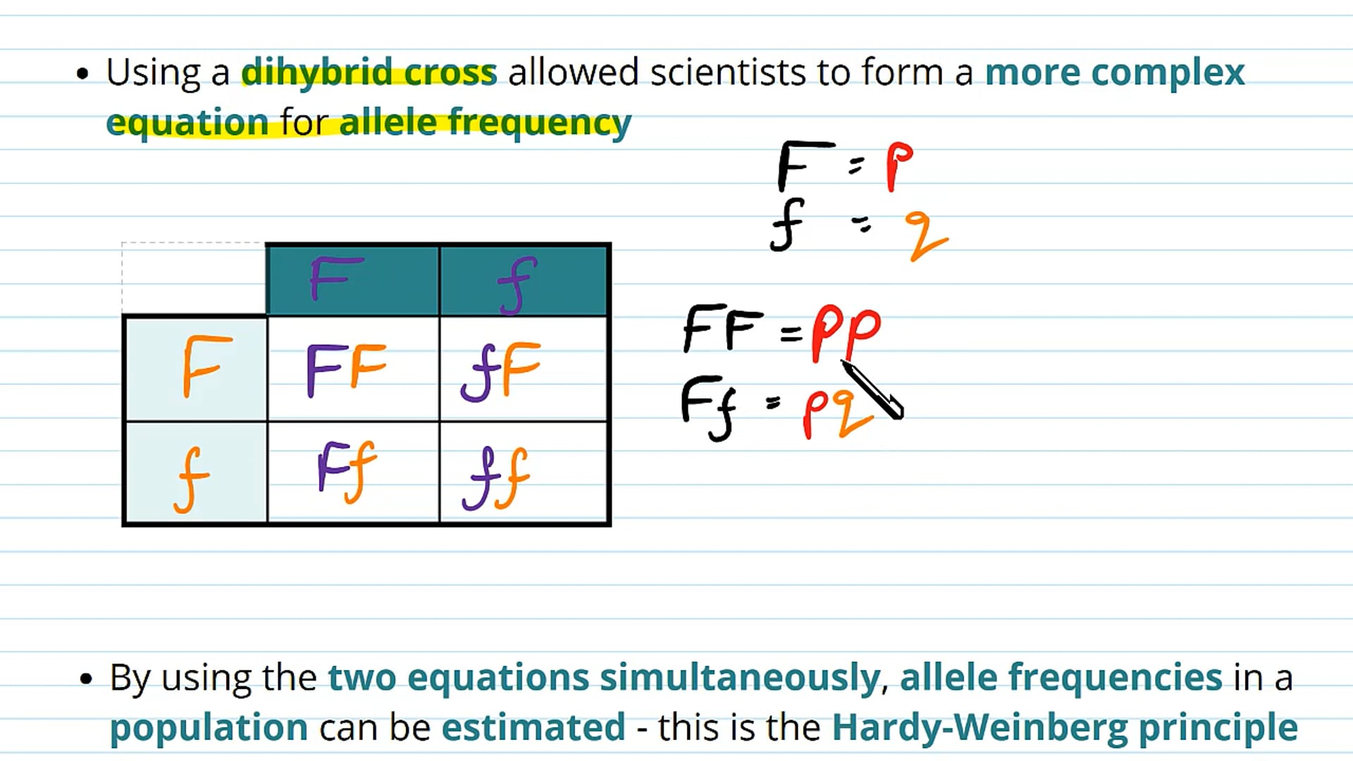 Introducing the Hardy-Weinberg Principle
