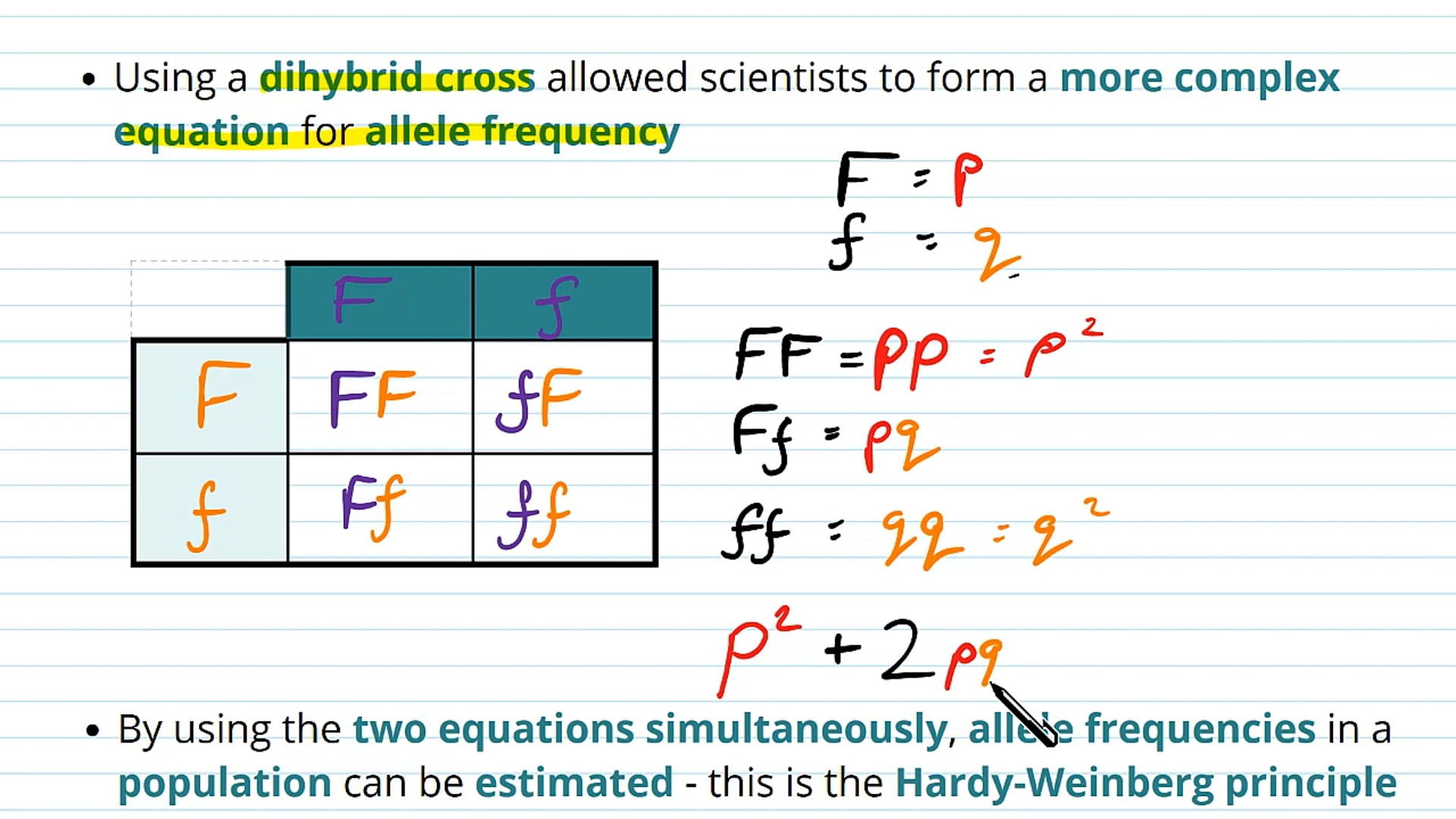 Introducing the Hardy-Weinberg Principle