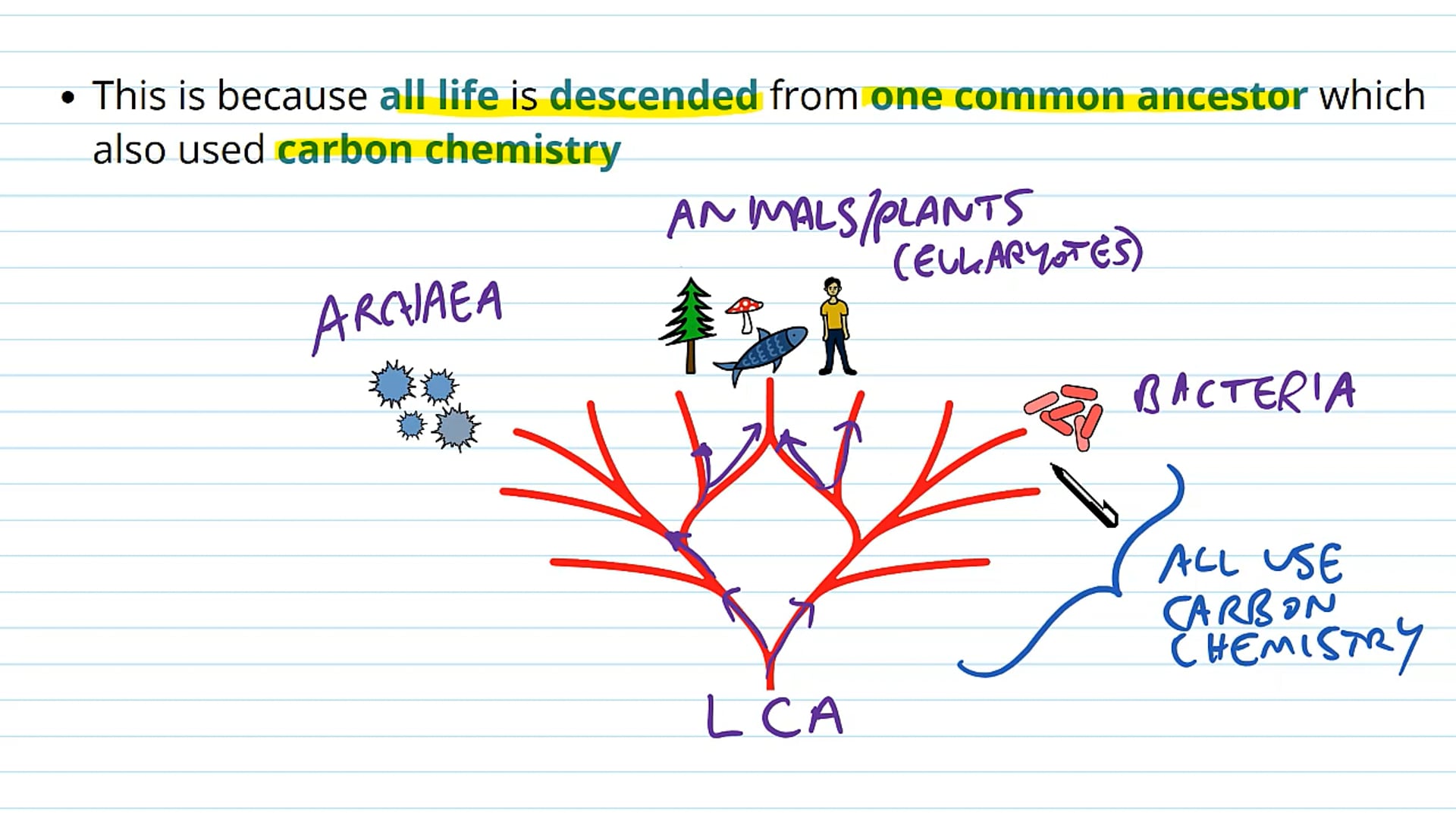 Introduction to Biological Molecules