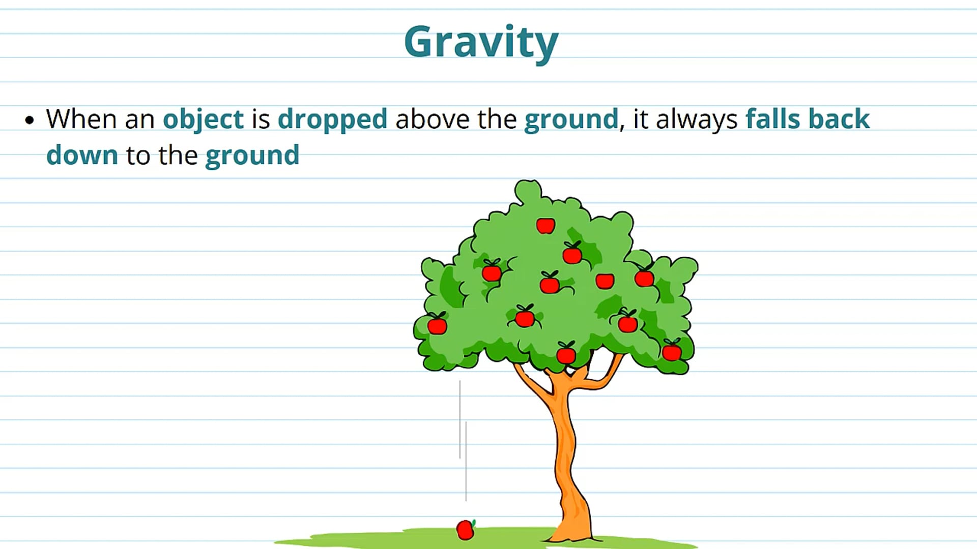Introduction to Gravitational Fields