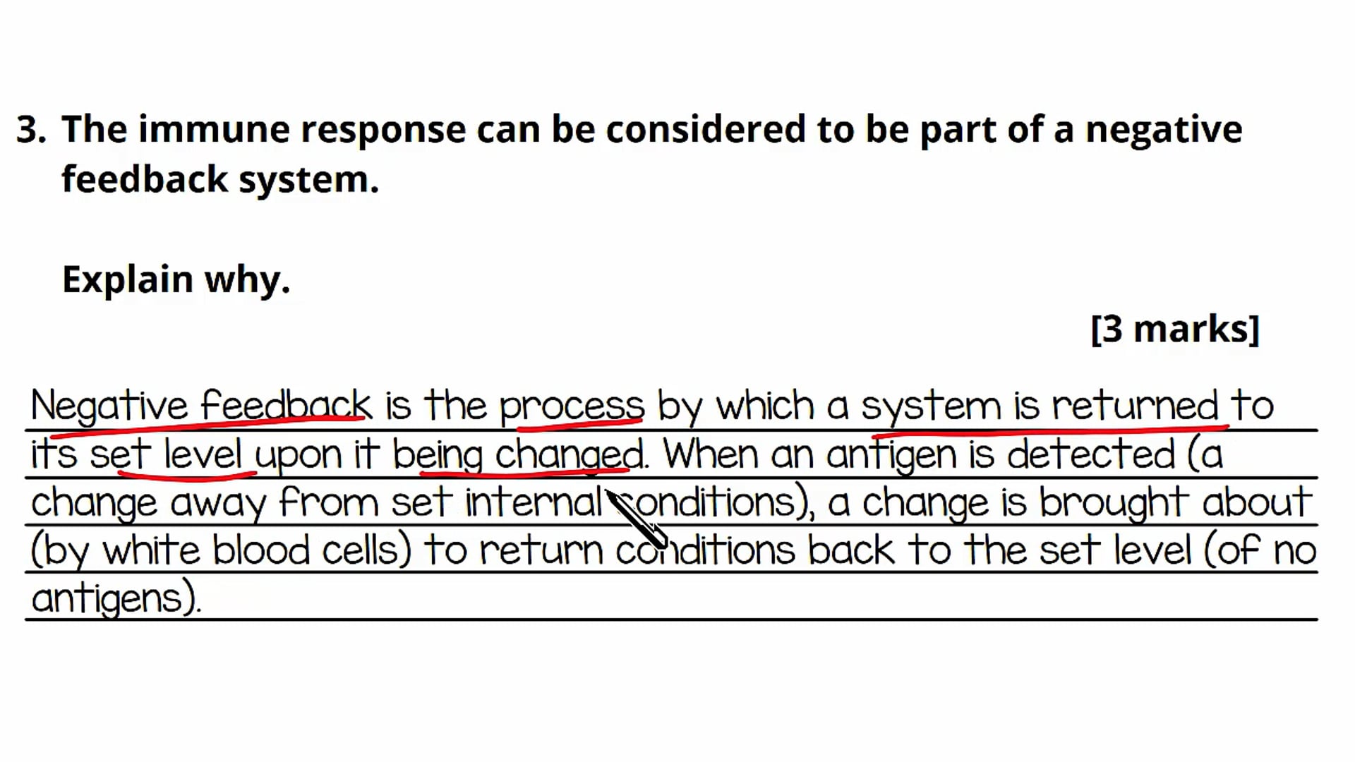 Introduction to Homeostasis Exam Question