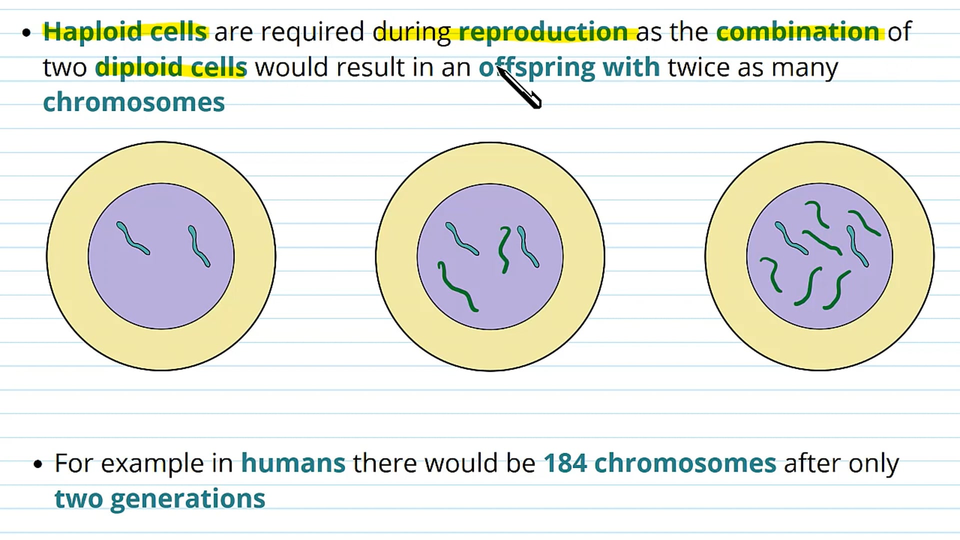 Introduction to Sexual Reproduction