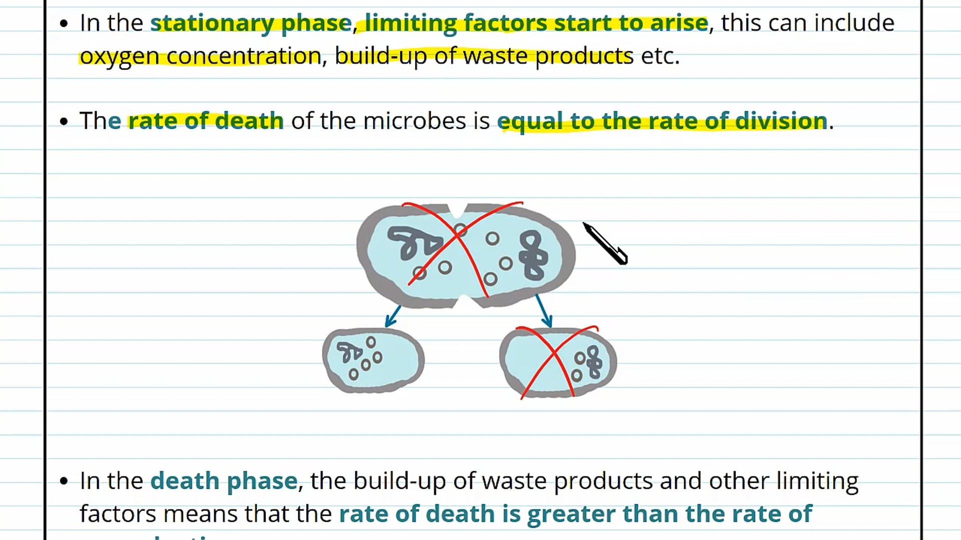 Investigating the Rate of Growth of Bacteria Background