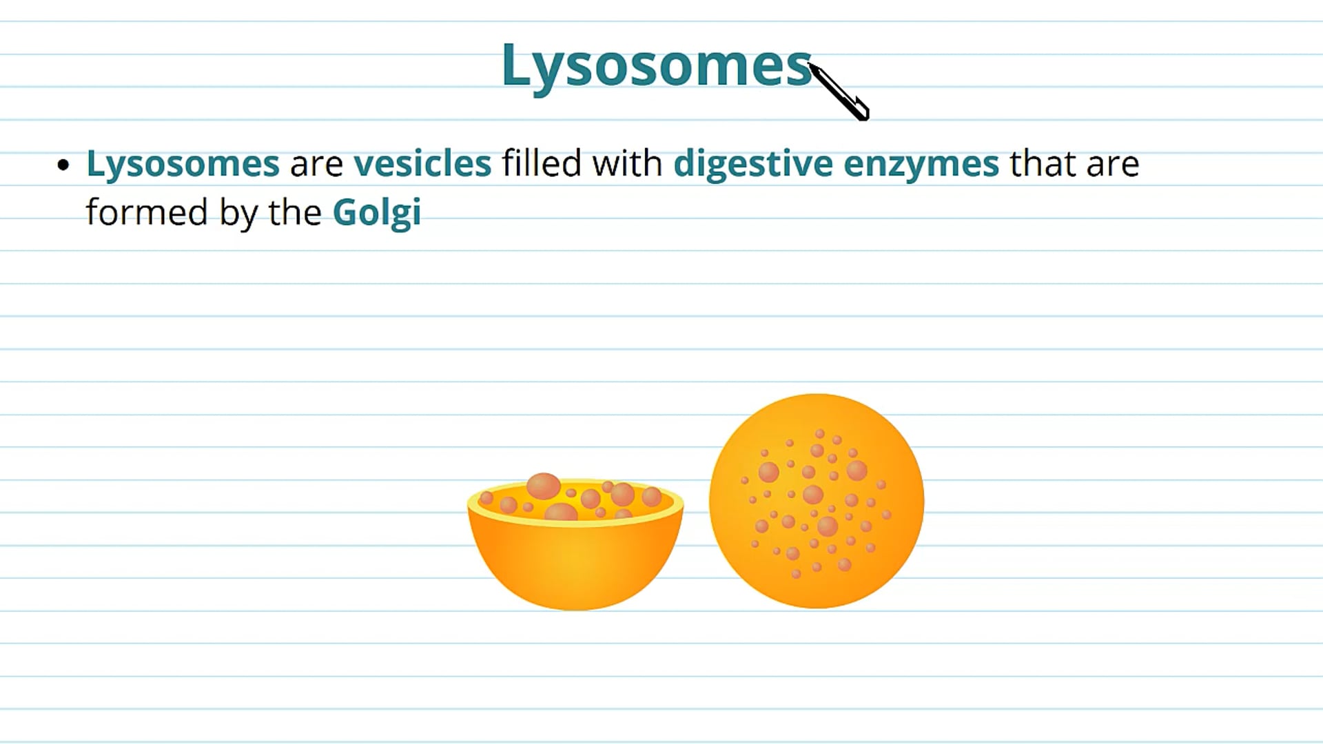 Lyosomes