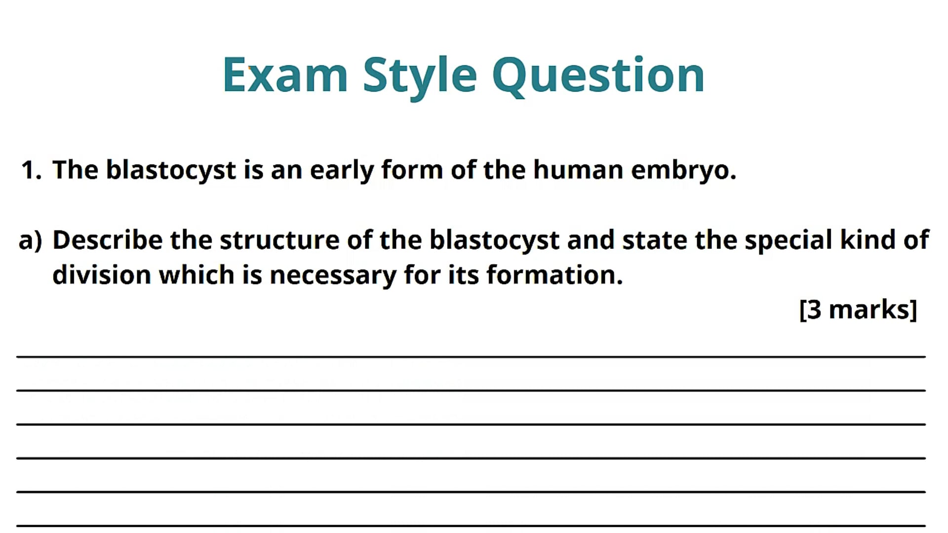 Mammalian Embryonic Development Exam Question