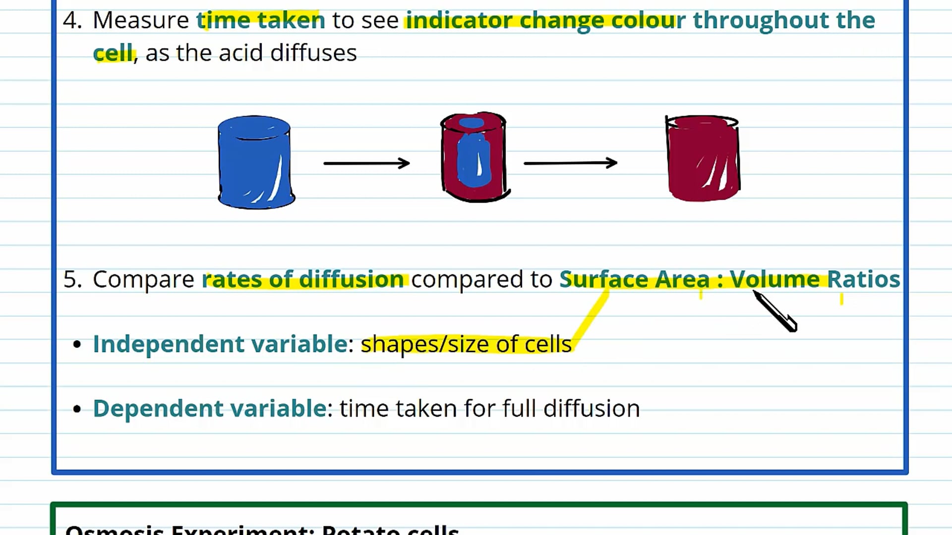 Membrane Transport Planning
