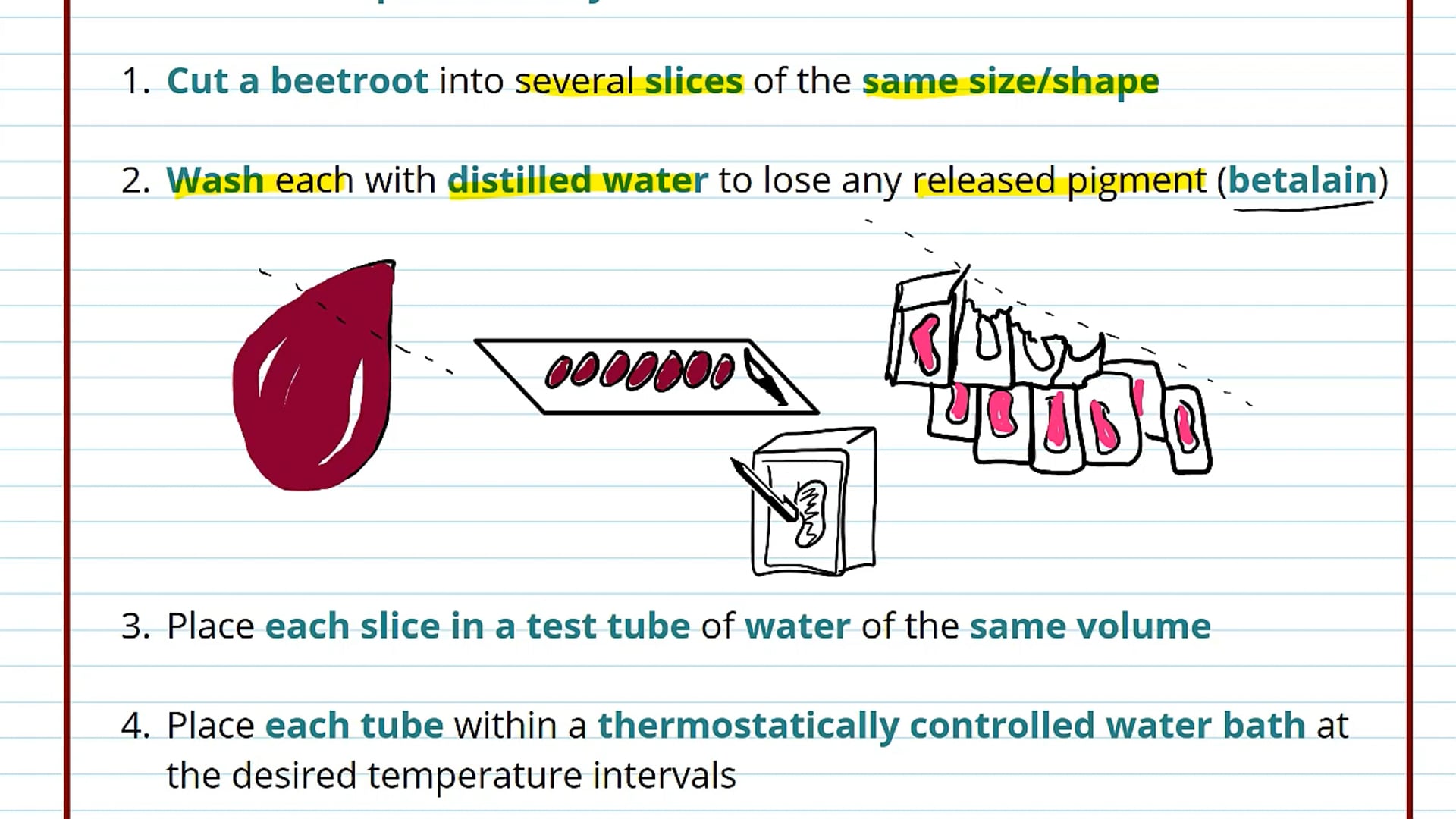 Membrane Transport Planning