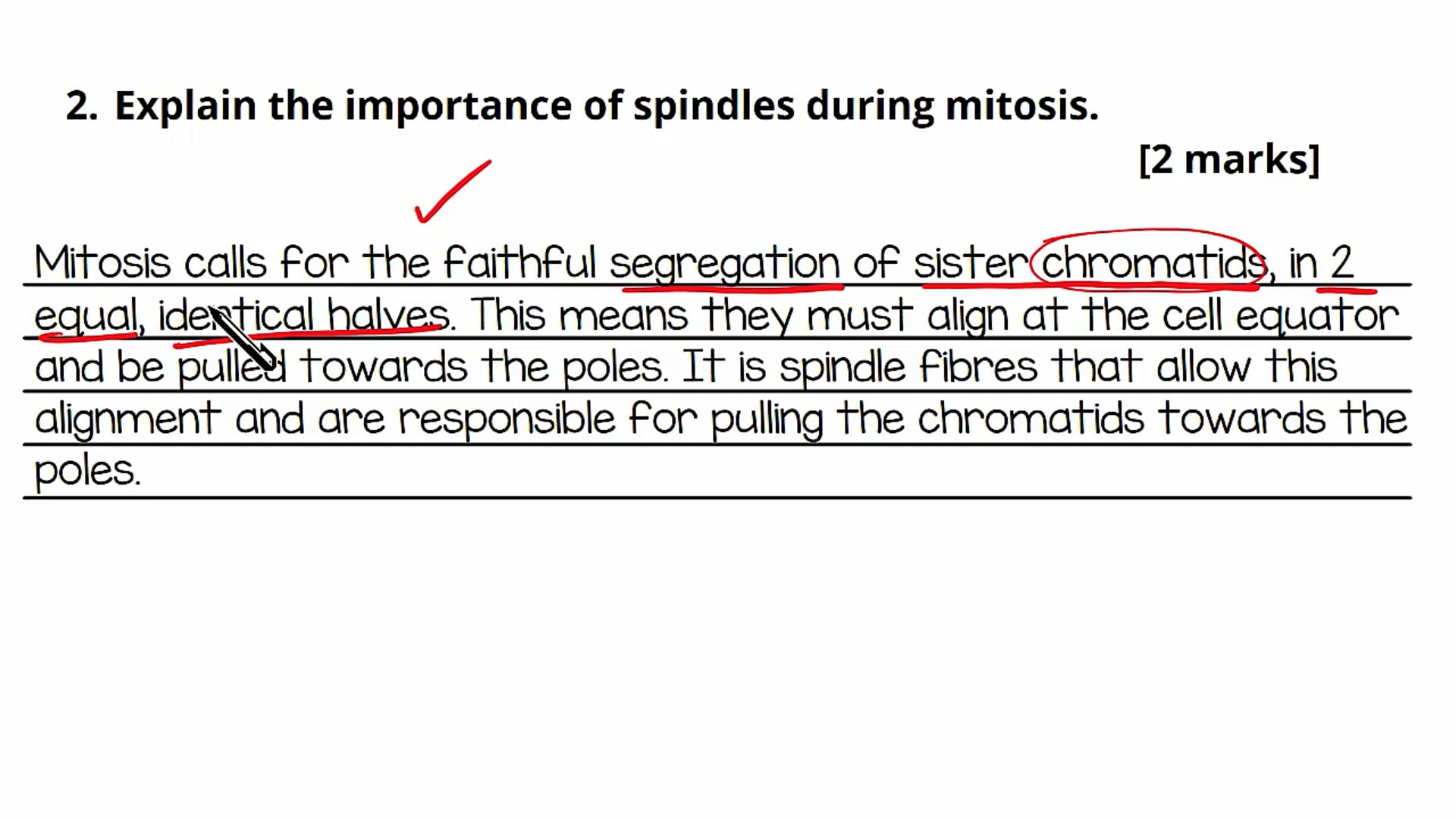 Mitosis Exam Question