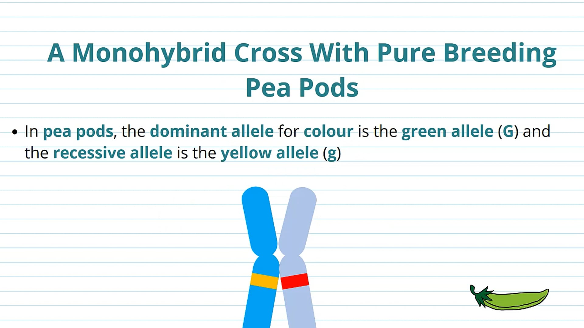Monohybrid Crosses