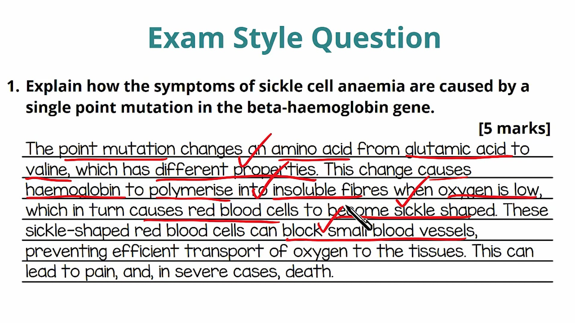 Mutations and Disease Exam Question