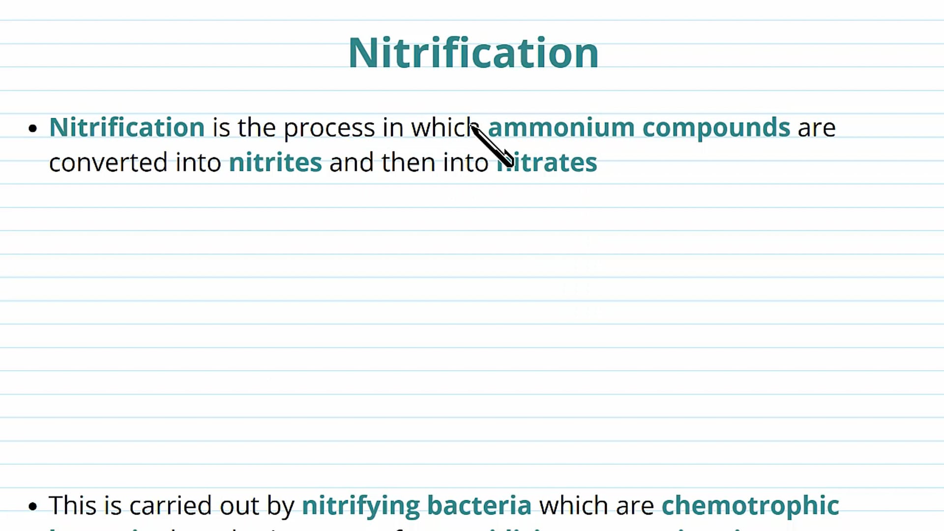 Nitrogen Cycle: Nitrification and Denitrification