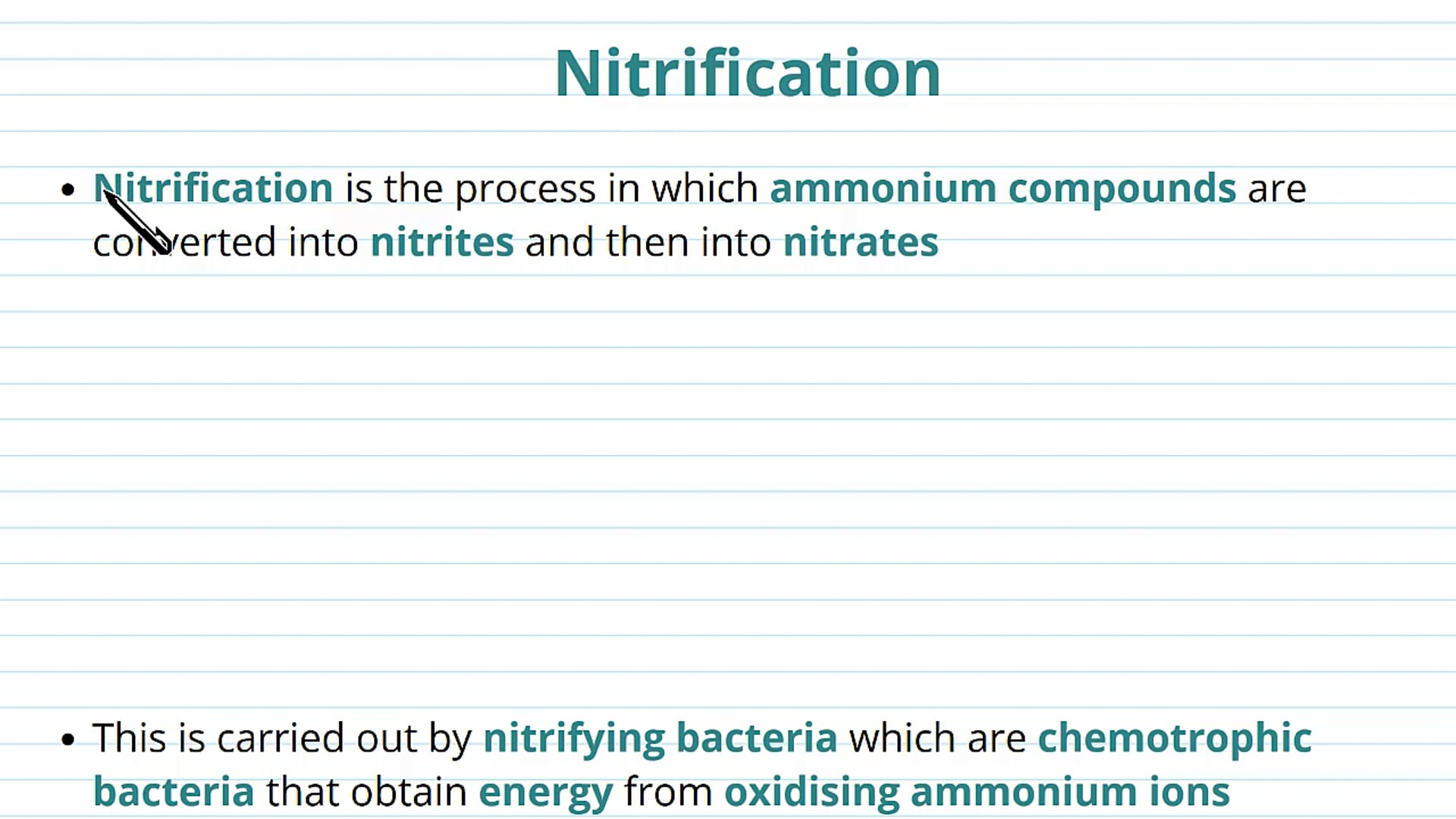 Nitrogen Cycle: Nitrification and Denitrification