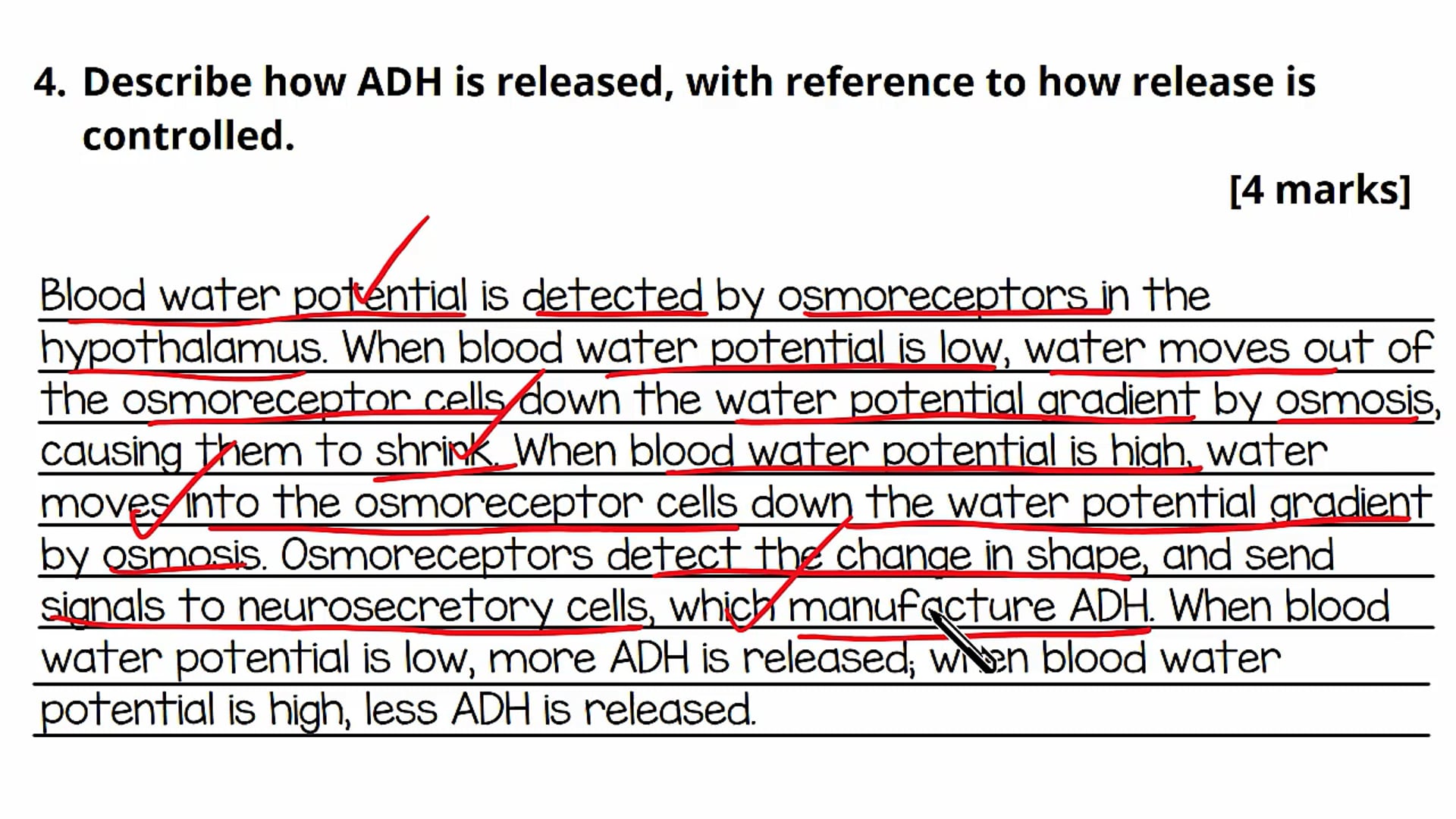 Osmoregulation Exam Question
