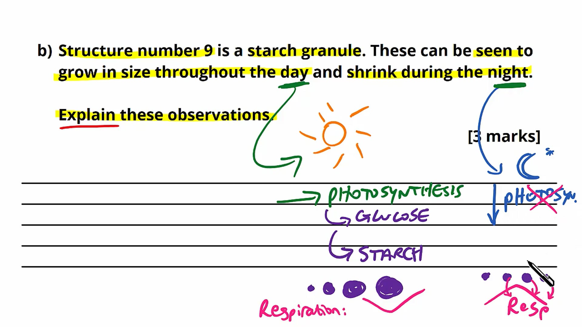 Photosynthesis and Photosystems Exam Question