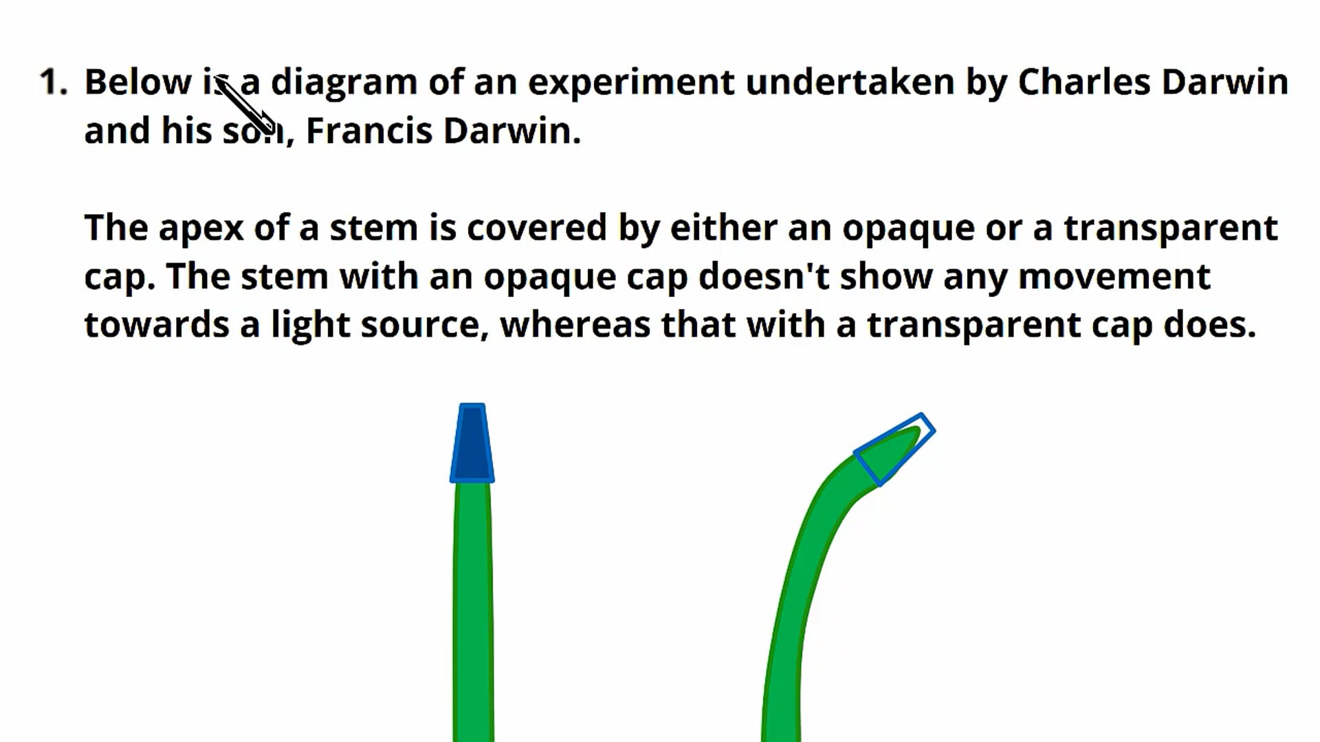 Plant Responses Exam Question