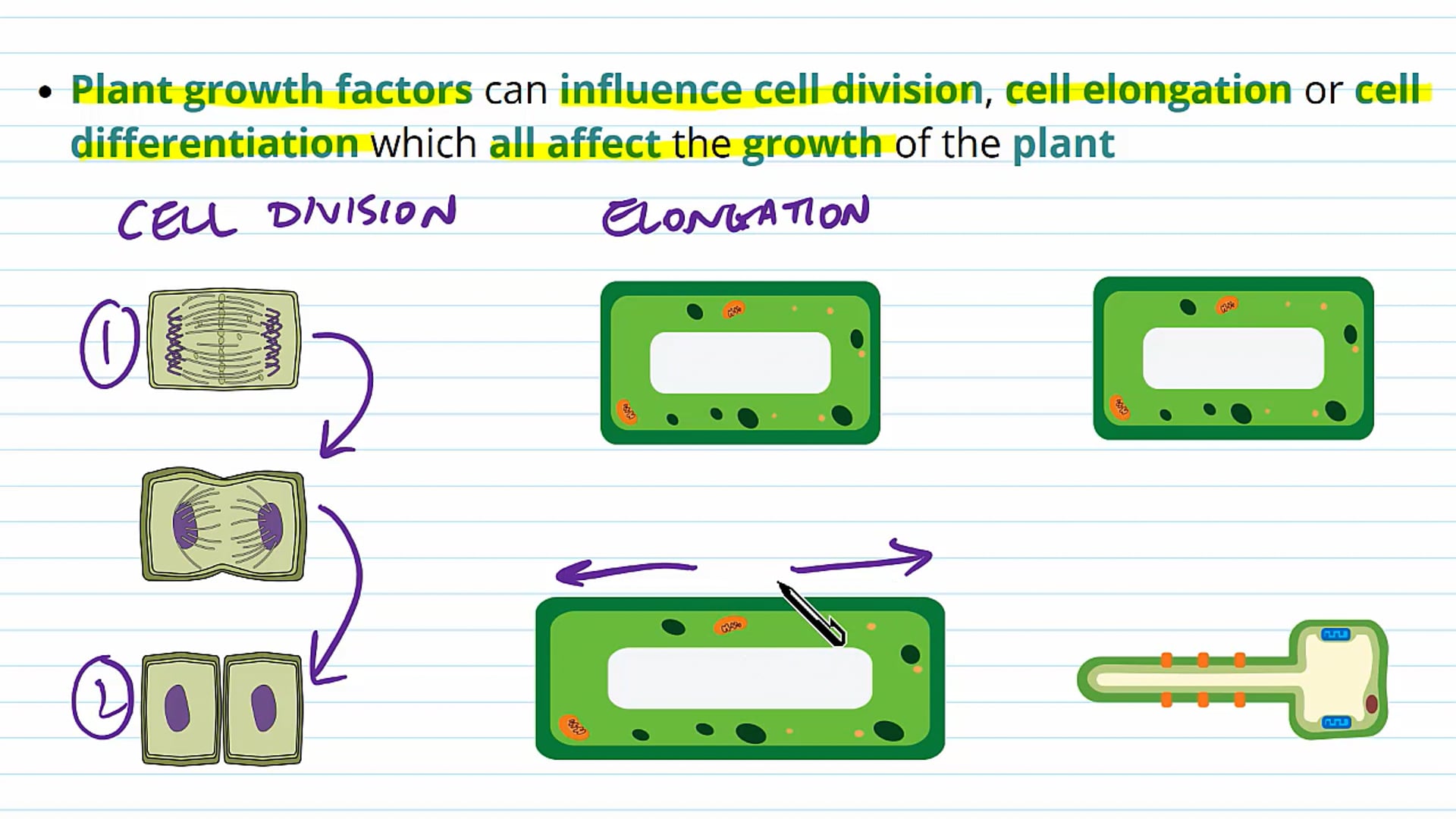 Plant Responses to Changes in the Environment