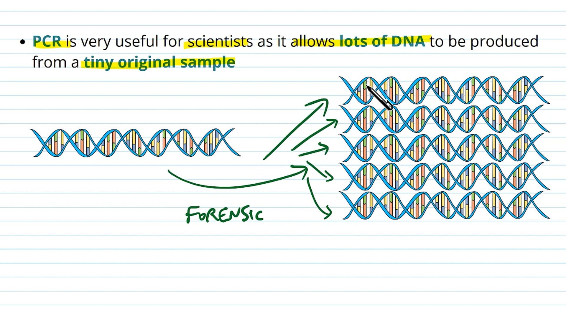 Polymerase Chain Reaction