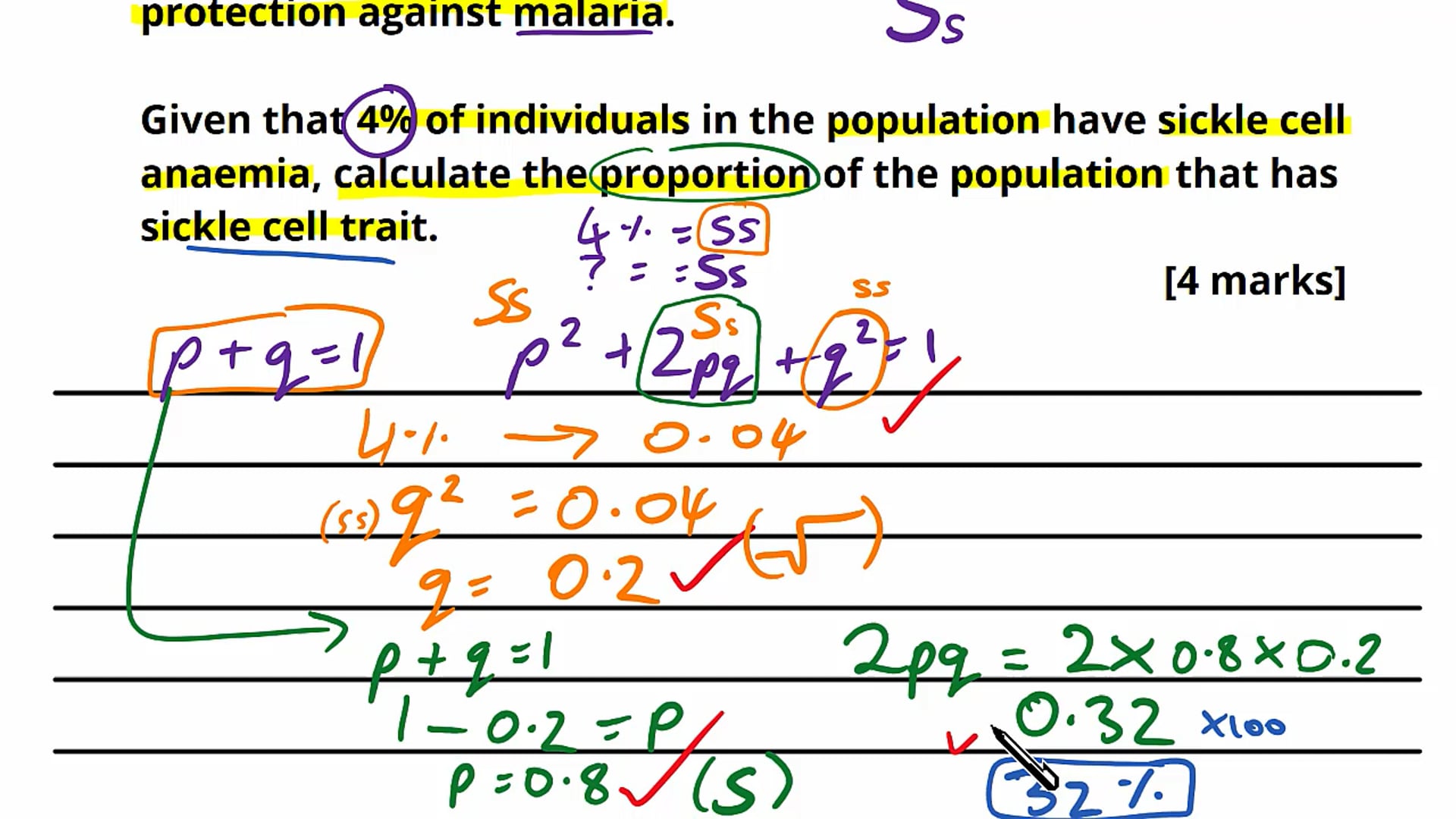 Population Genetics Exam Question