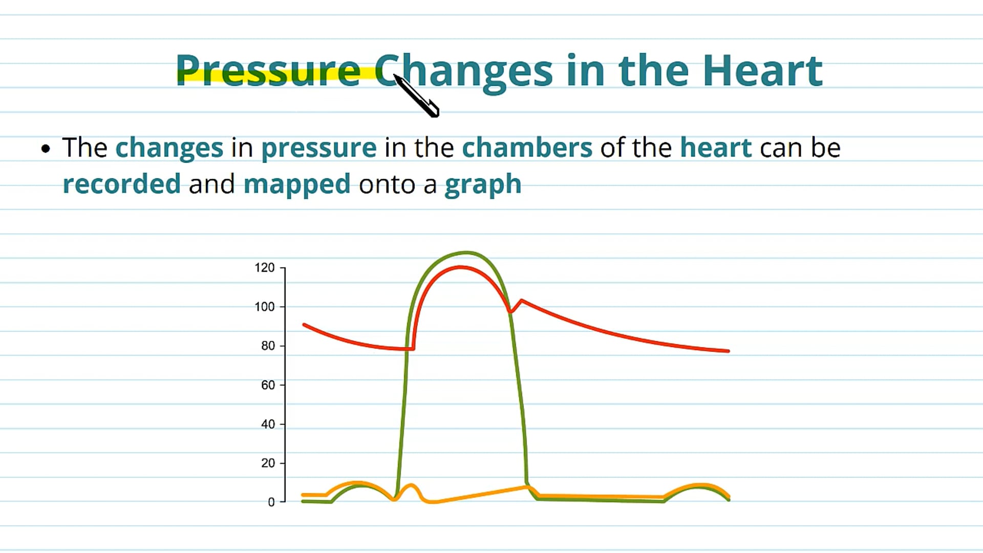 Pressure Changes in the Heart and Blood Vessels