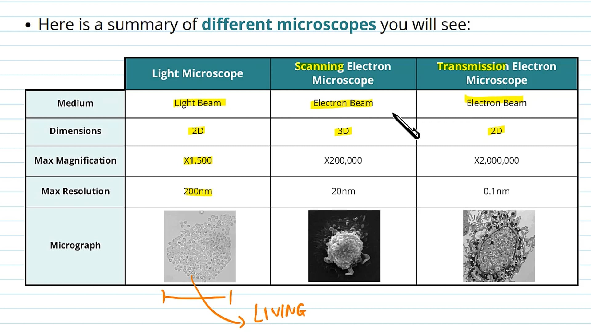 Principles and Features of Electron Microscopes