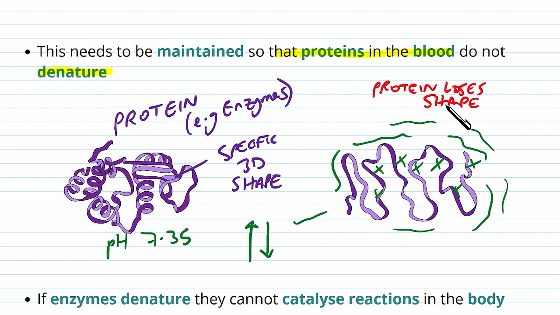 Principles of Homeostasis