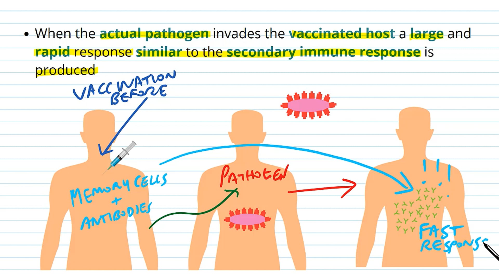 Principles of Vaccination