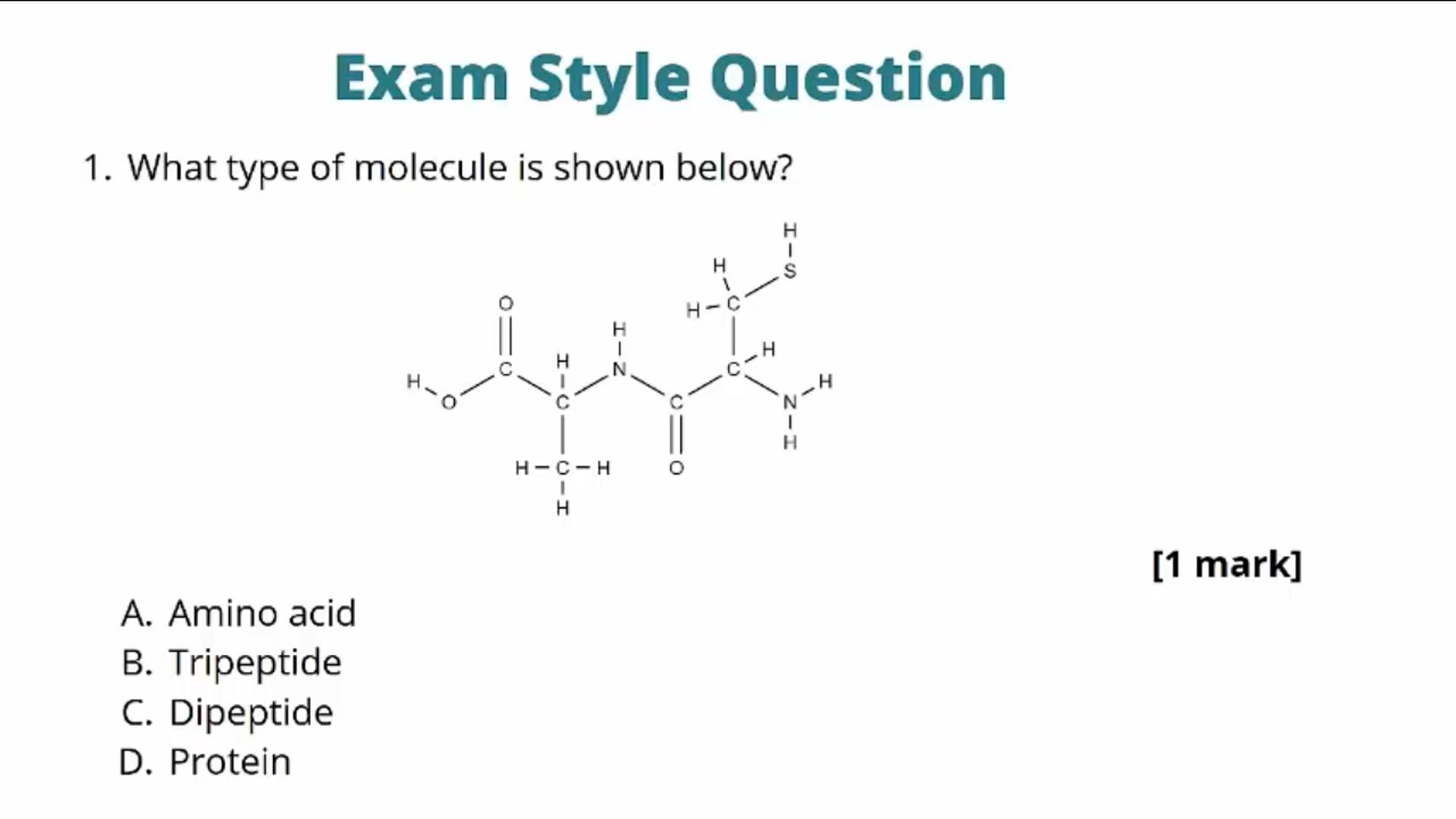 Proteins Exam Question