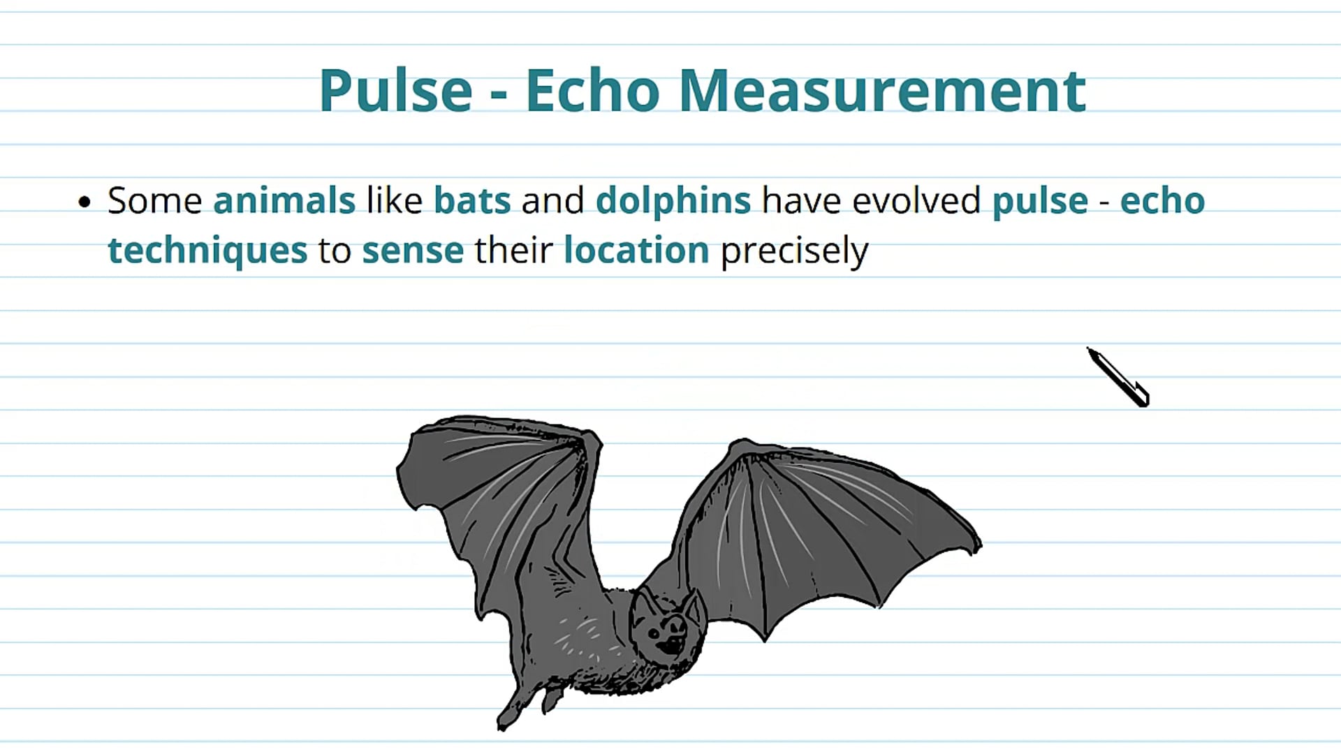 Pulse-Echo Measurements