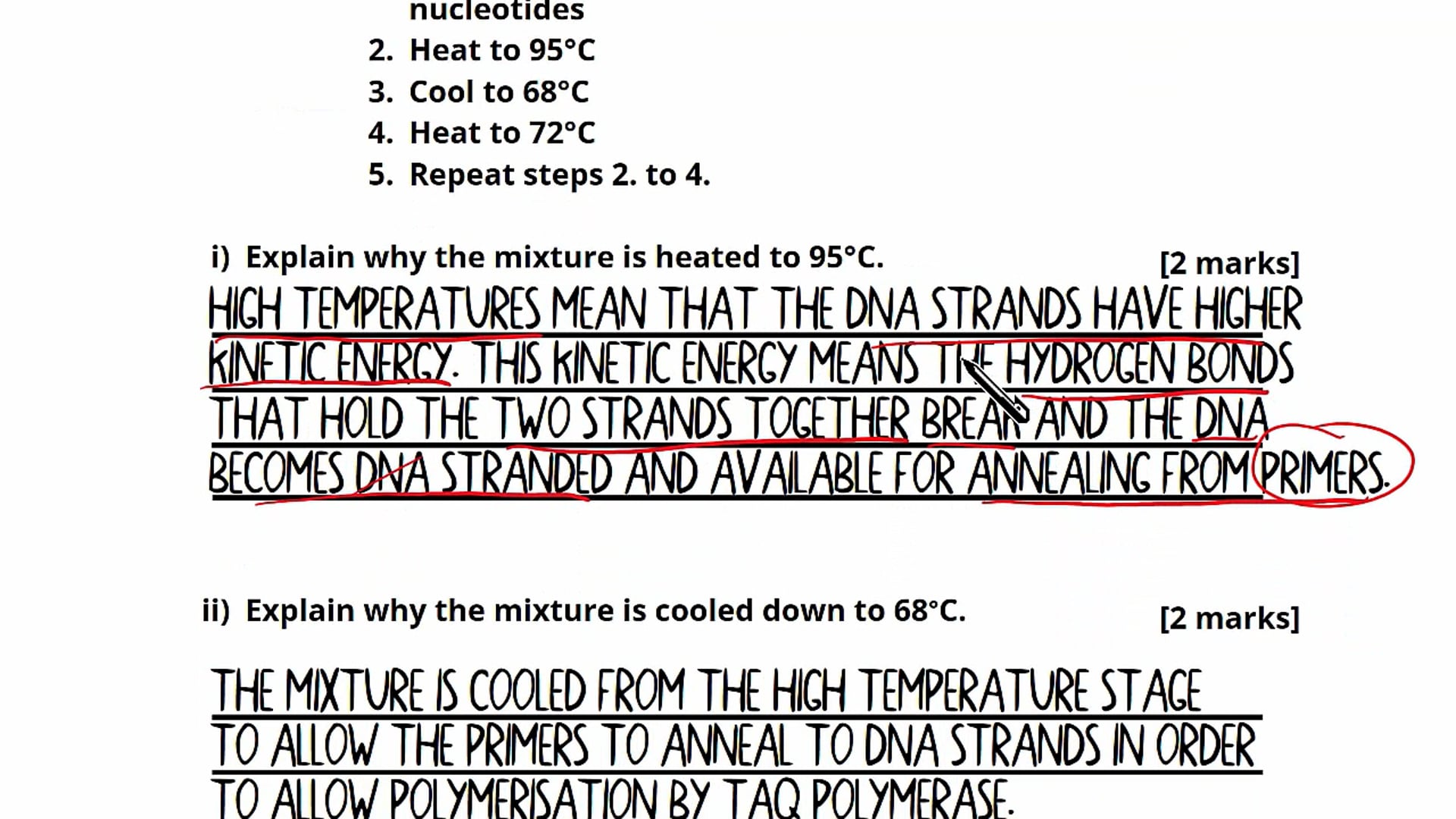 Question 16: DNA Sequencing