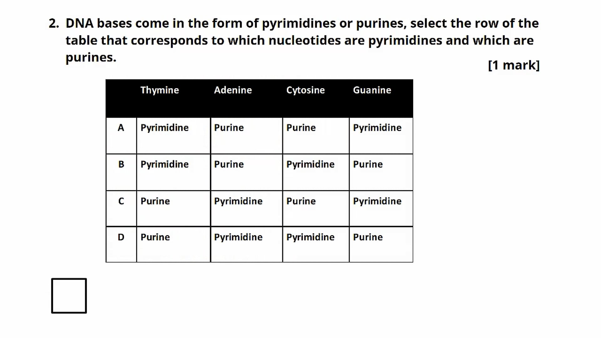 Question 2: DNA Structure