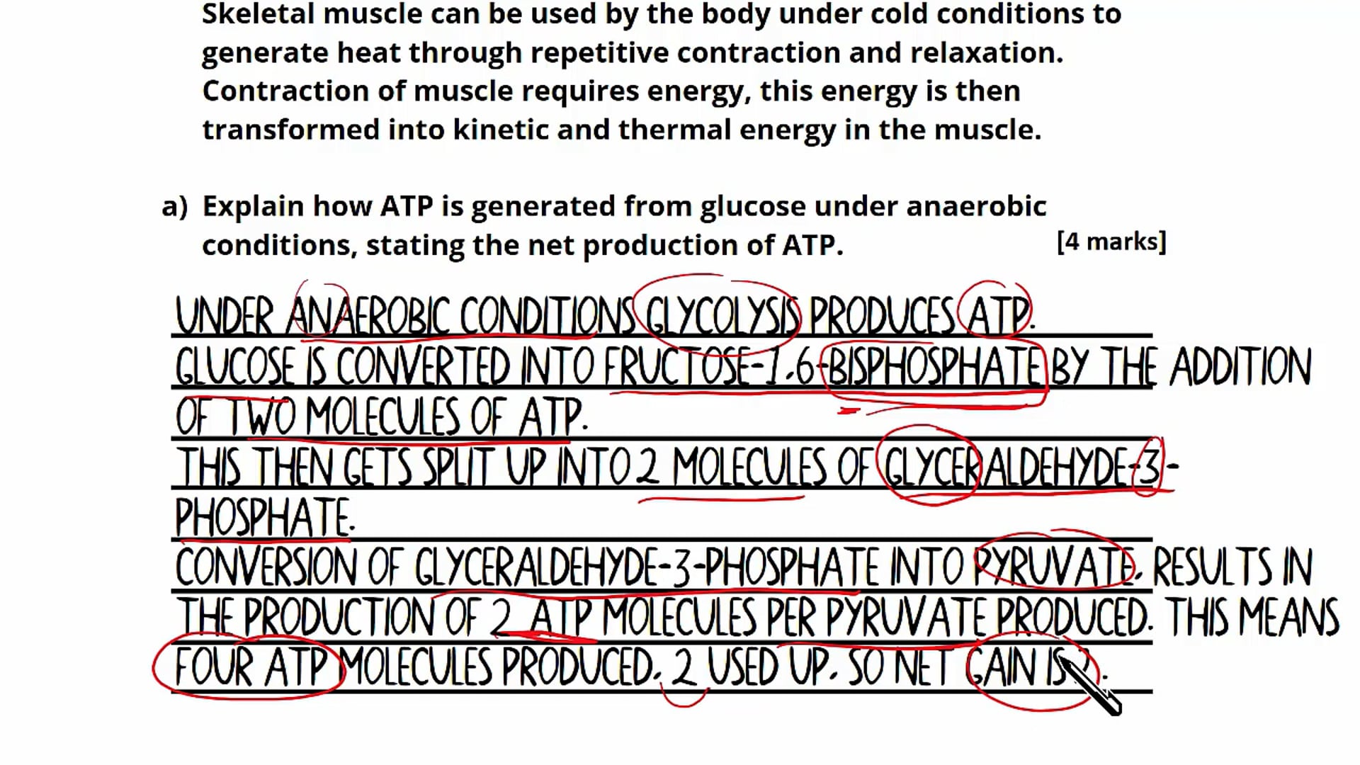Question 2: Respiration