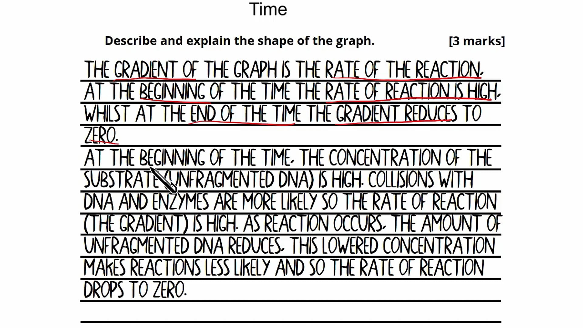 Question 6: Enzyme rate experiments