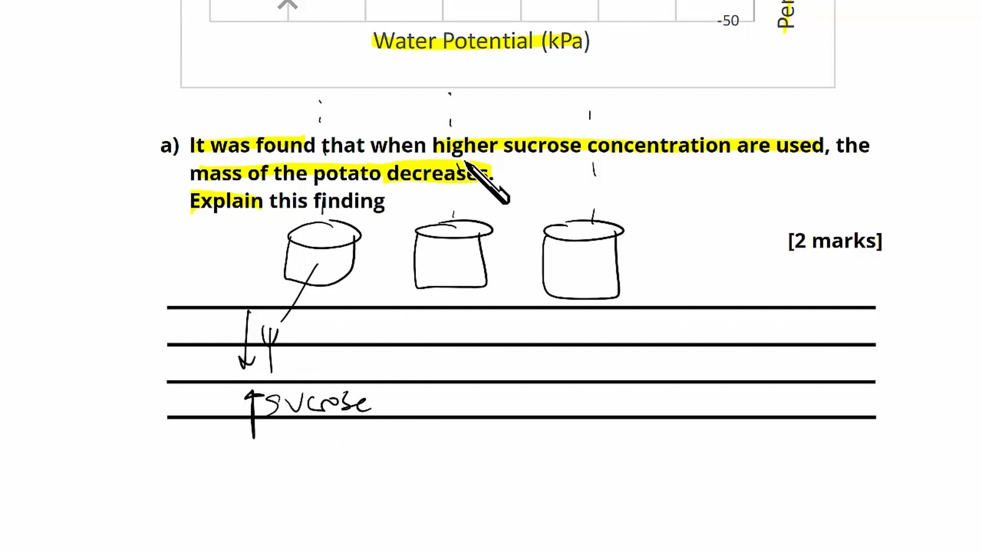 Question 6: Permeability Experiment