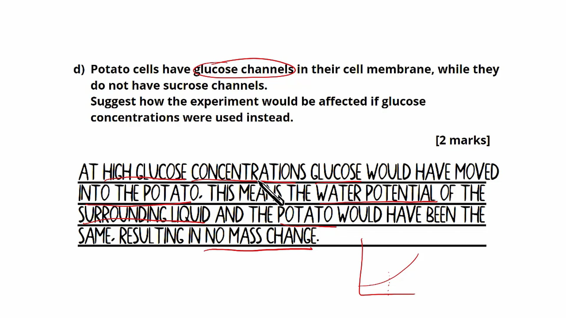 Question 6: Permeability Experiment