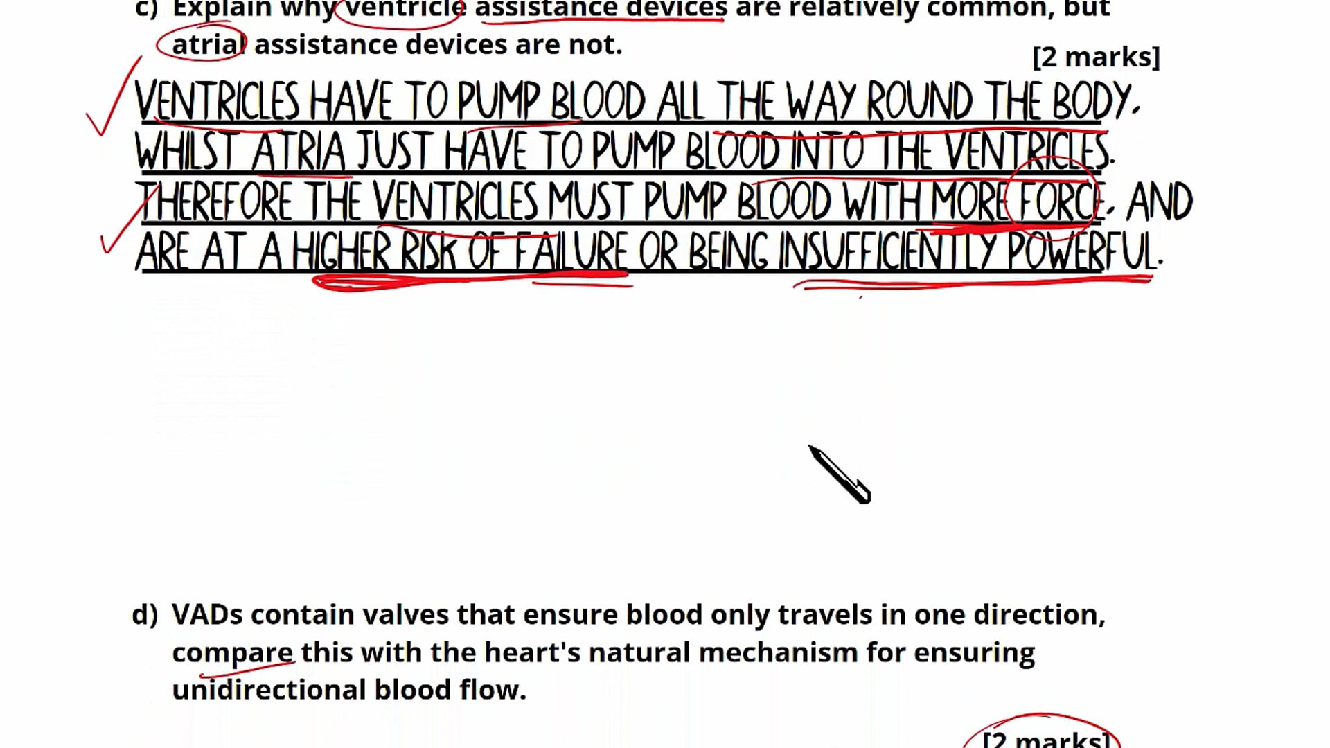 Question 7: Cardiac Function