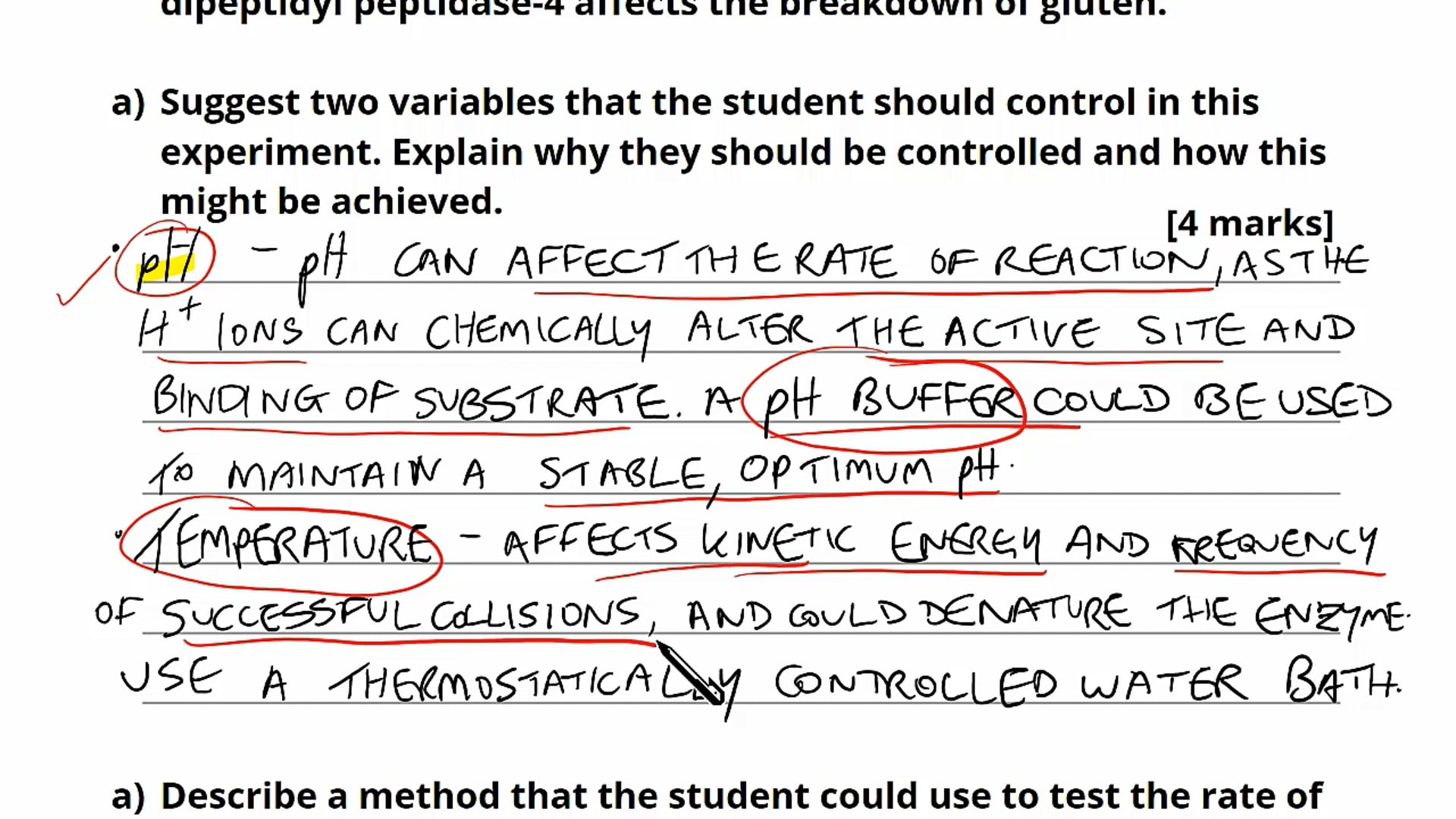 Rate of an Enzyme-Controlled Reaction Exam Style Question 1