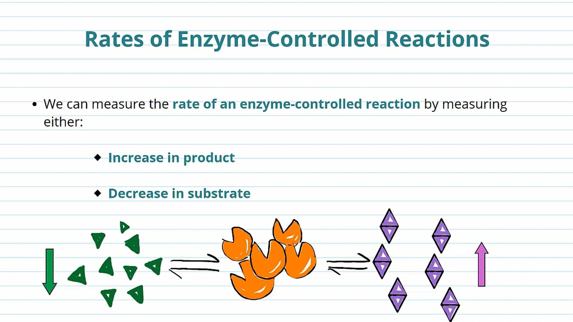 Rates of Enzyme Controlled Reaction Background (Part 2)