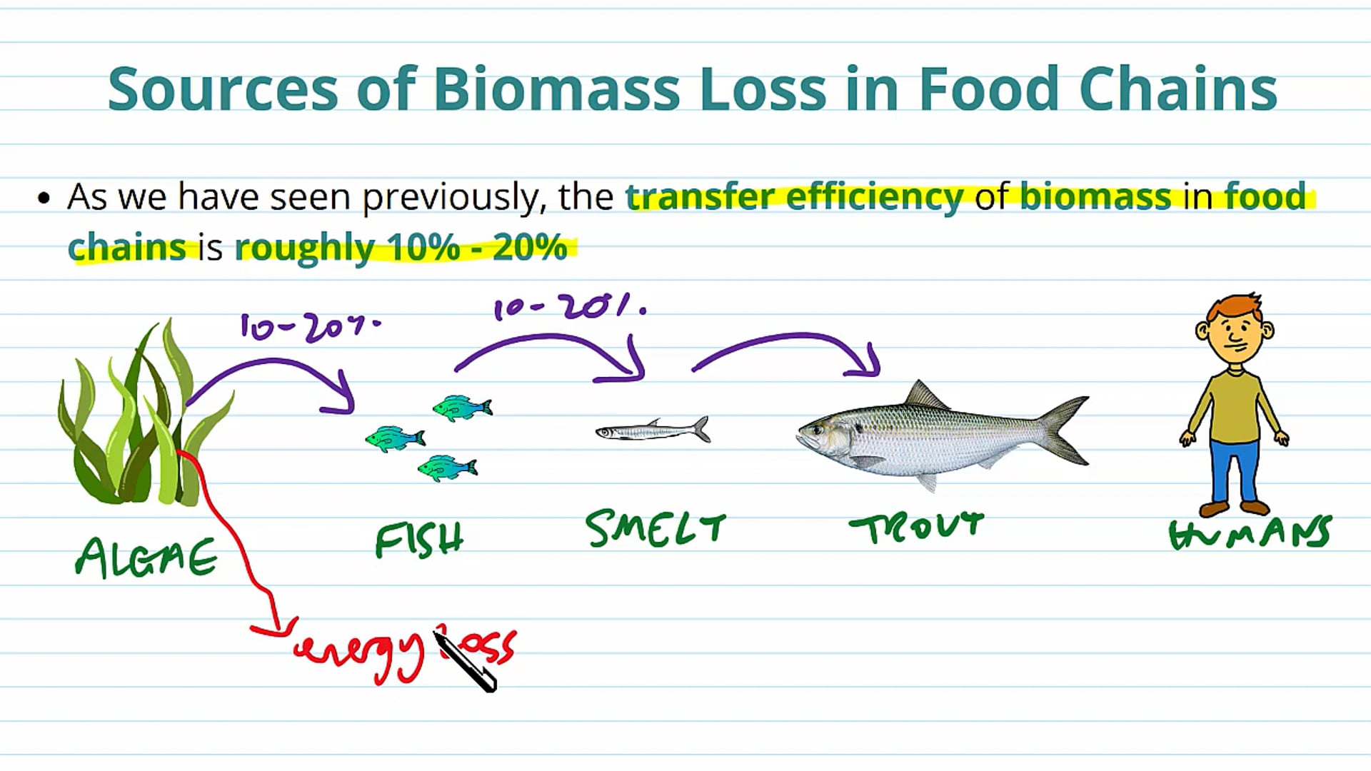 Reducing Biomass Loss