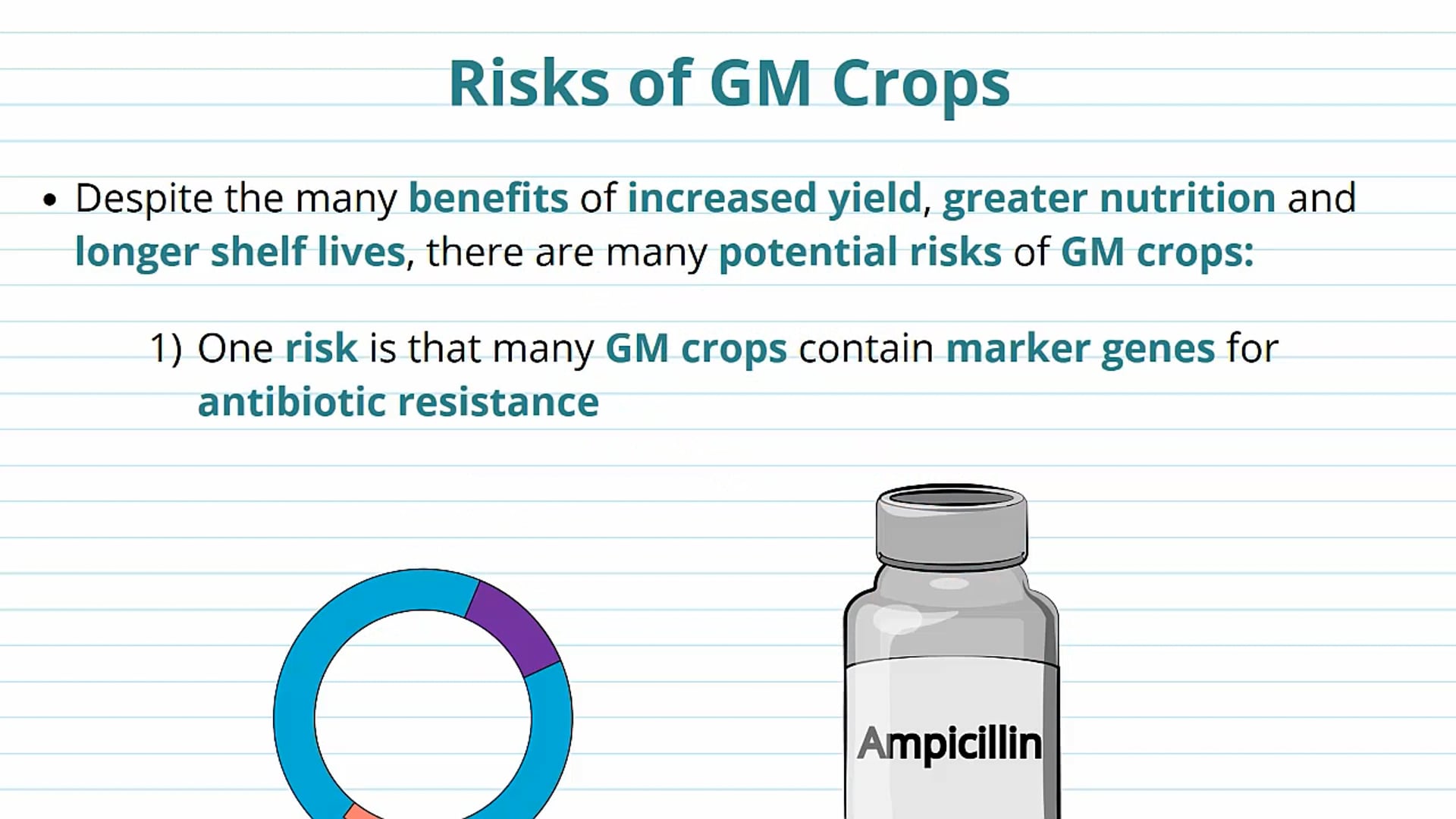 Risks of GM Plants