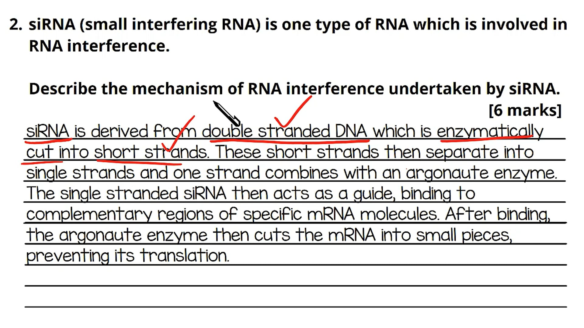 RNA Interference Exam Question
