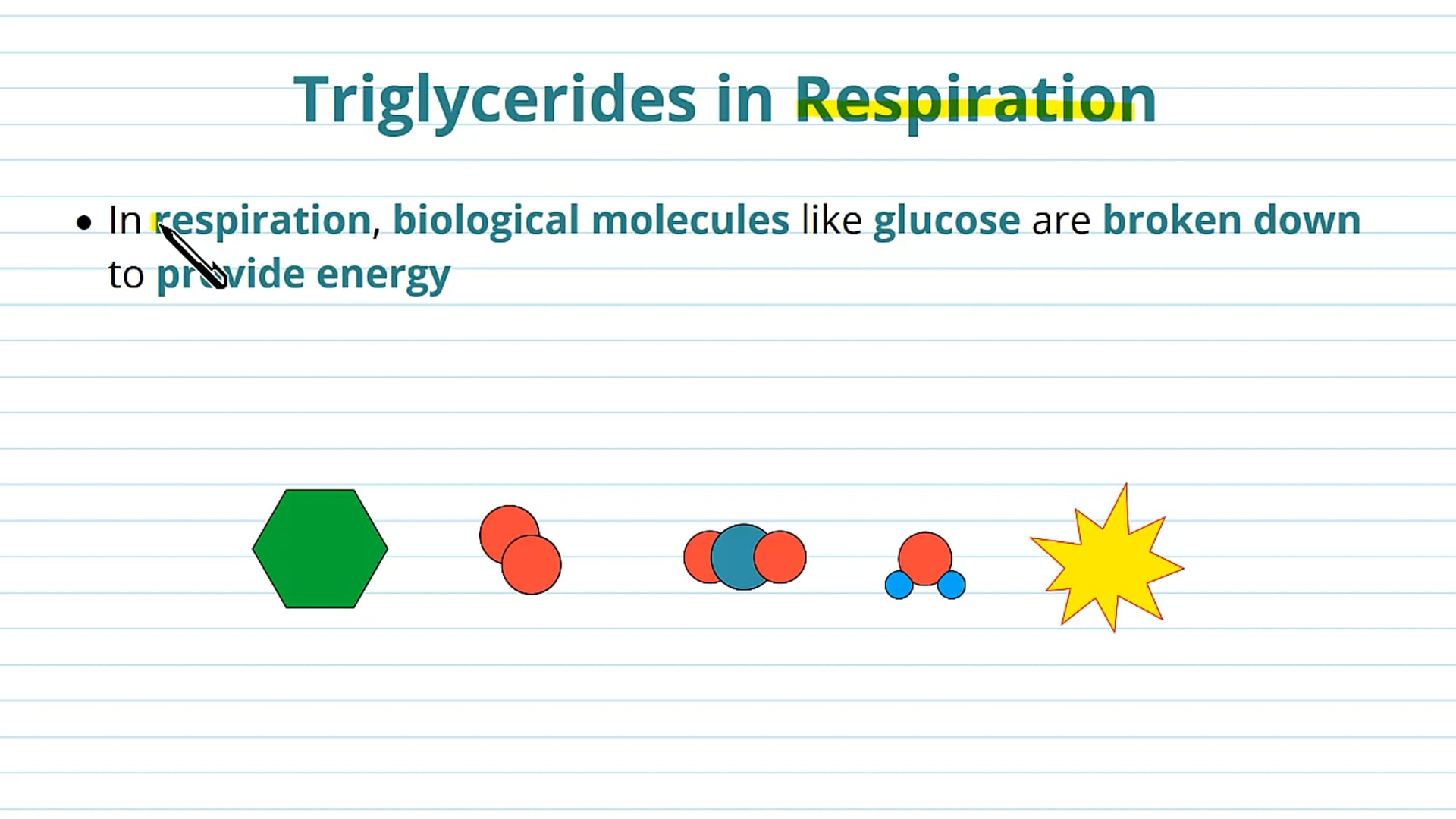 Roles of Triglycerides