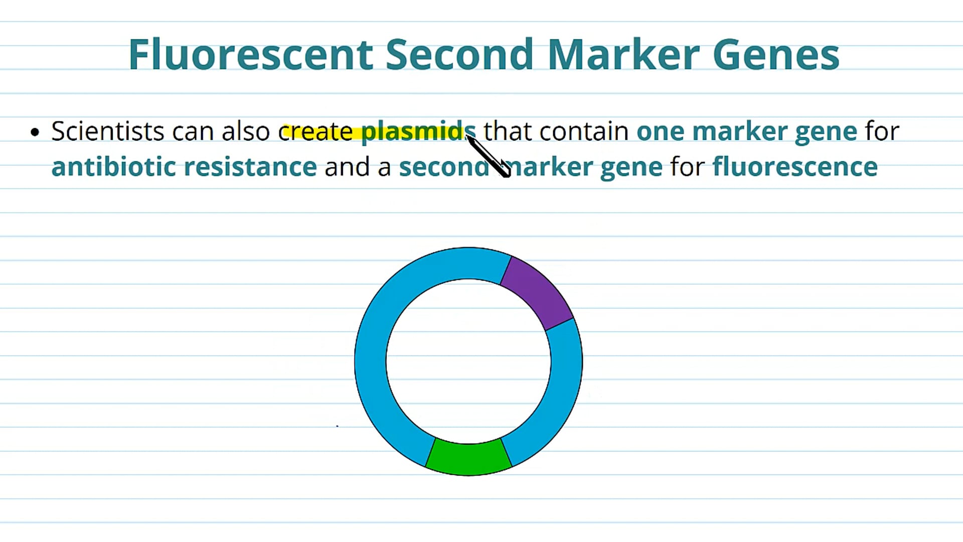 Second Marker Genes:Flurescent and Enzyme