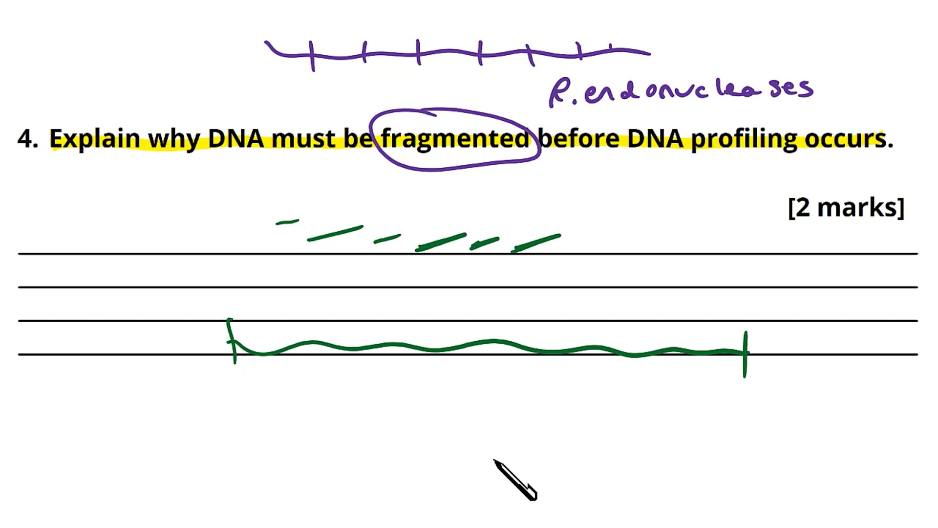 Sexual Reproduction in Plants Exam Question